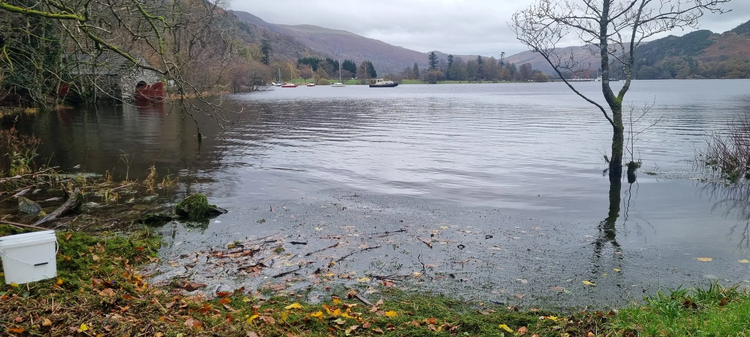 20251115_123548 Becci Senior.jpg