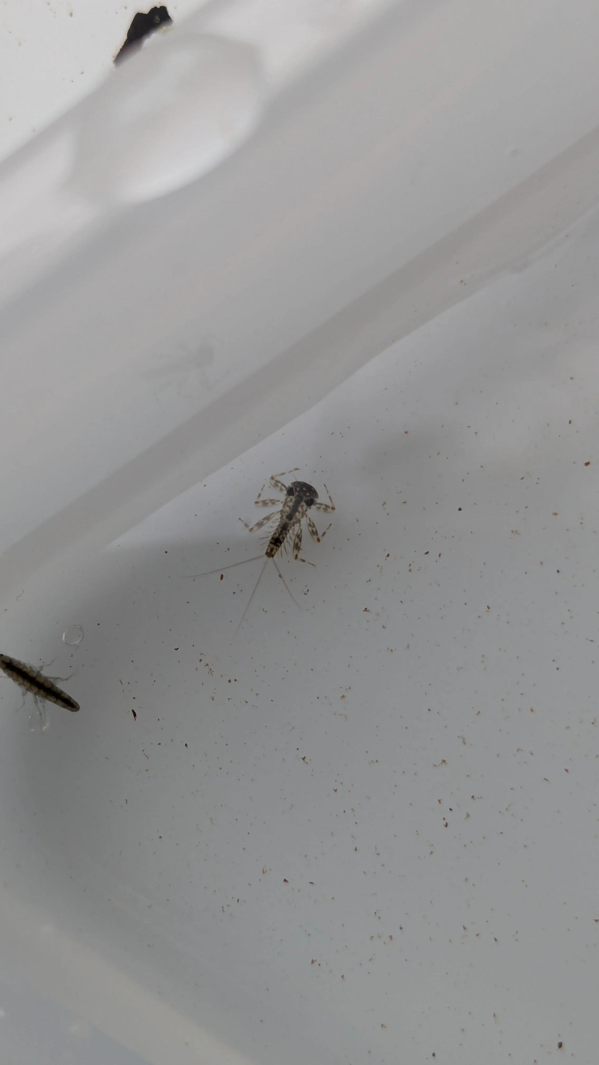 PXL_20250926_133845734 (1).jpg