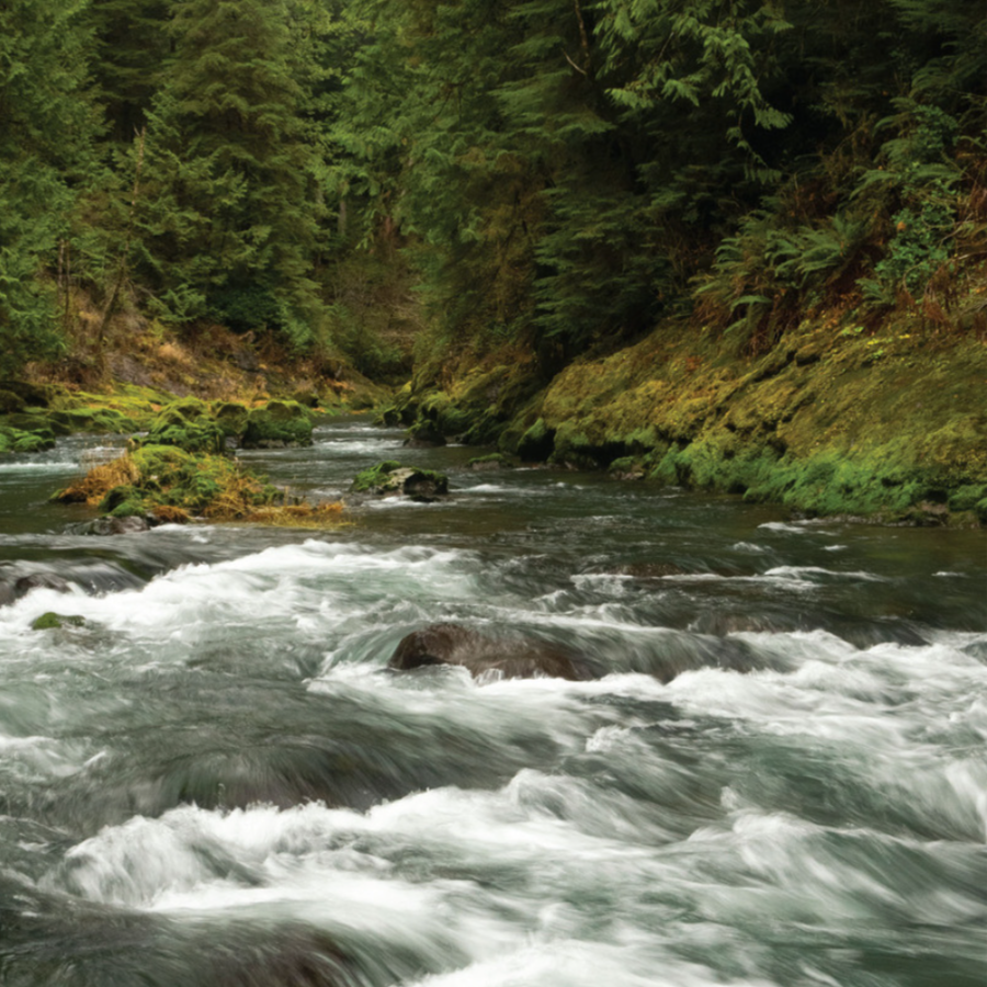 A Reverence for Rivers: in conversation with the author Kurt Fausch