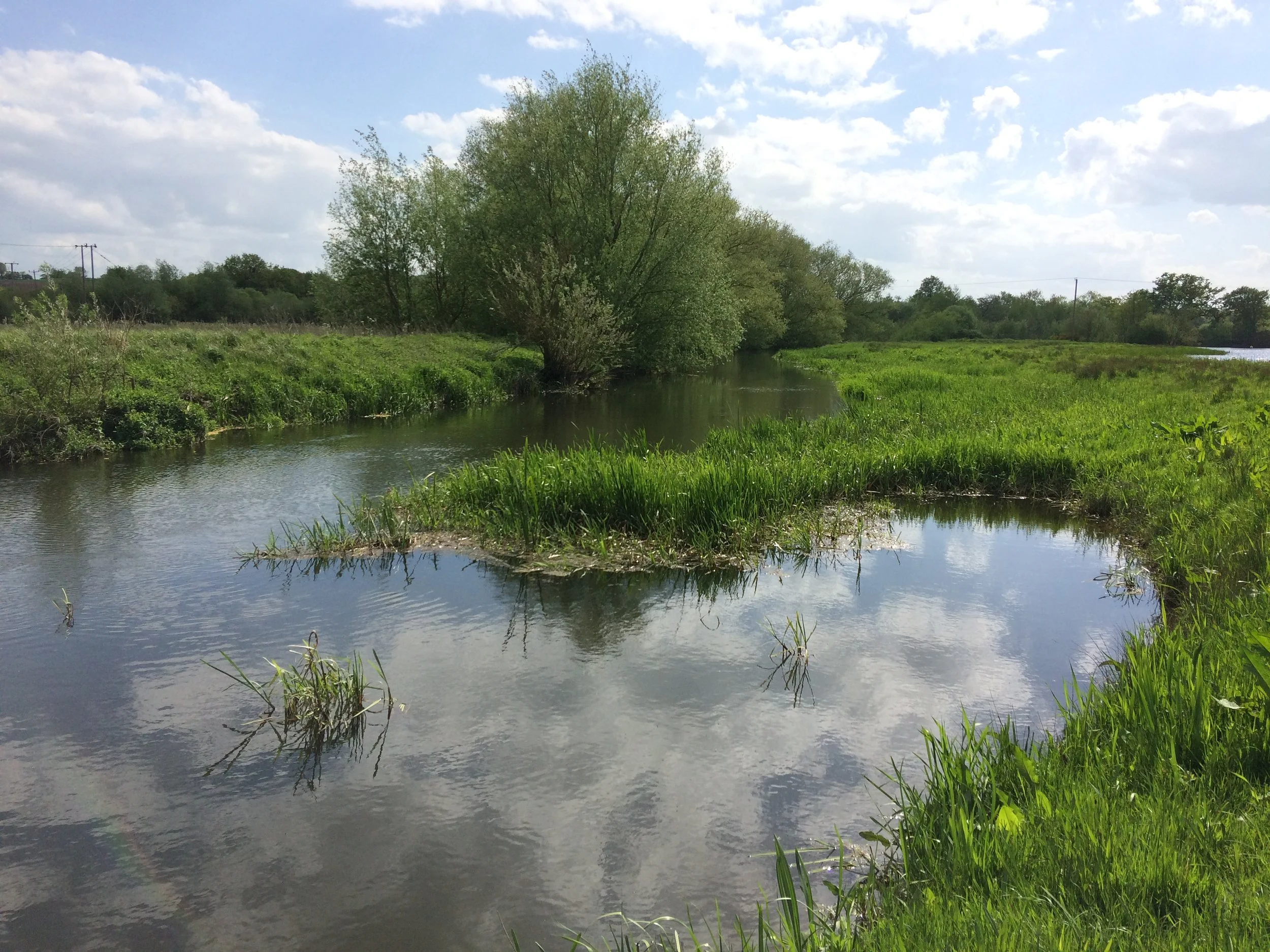 3_Fry refuge on a project section of the Wensum_Tim Ellis.jpeg