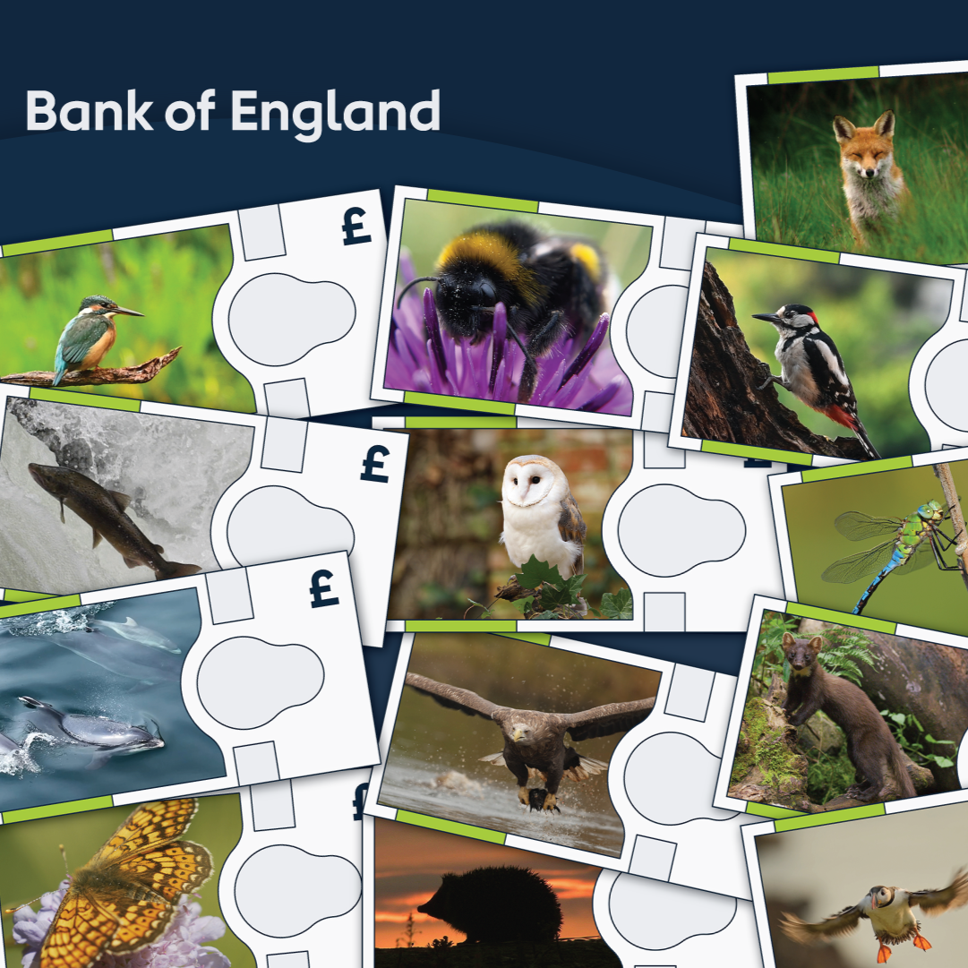 New UK wildlife banknotes: a Q&amp;A with shortlist panel expert Steve Ormerod