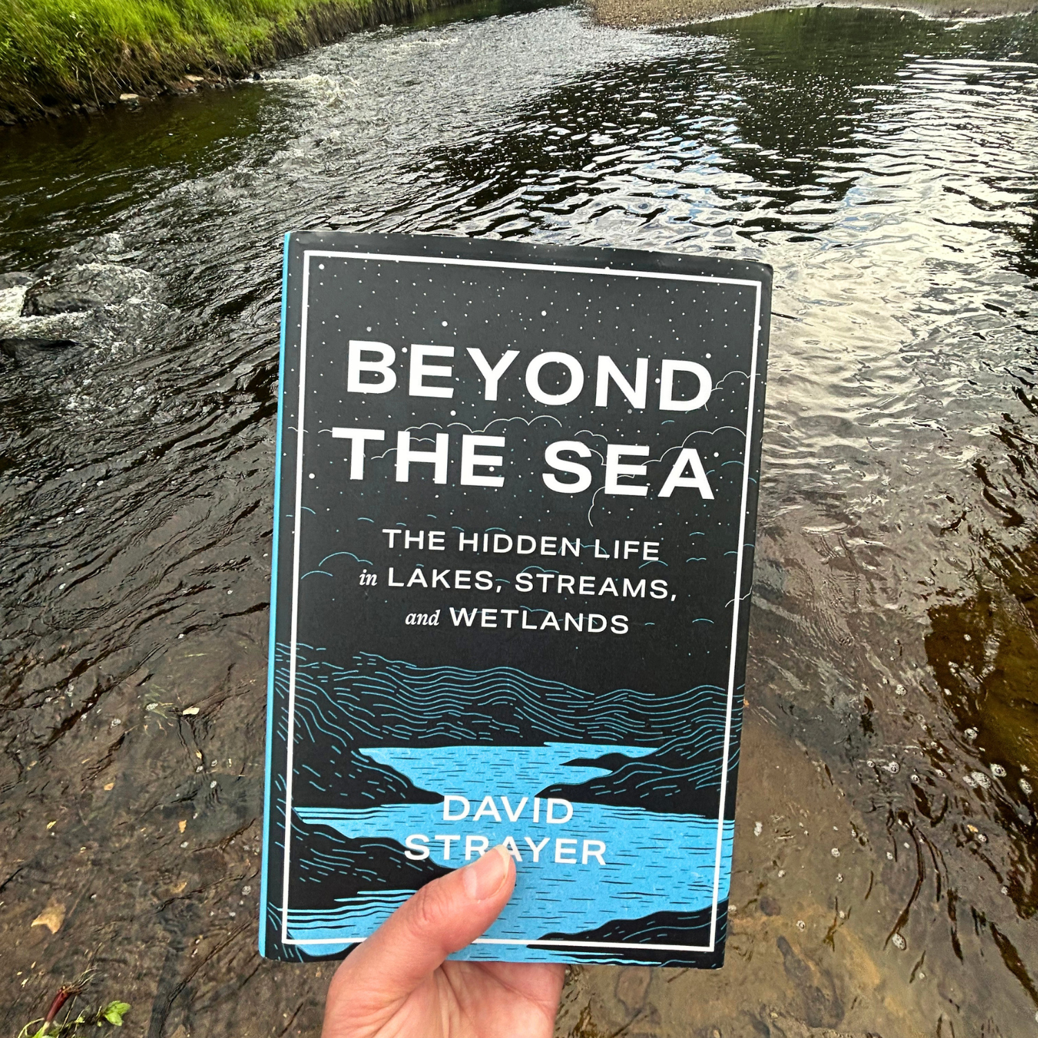 Beyond the Sea: A love letter to freshwaters