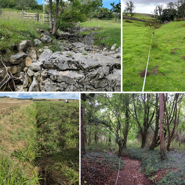 Can terrestrial plants enable assessment of nutrient pressures in dry streams?