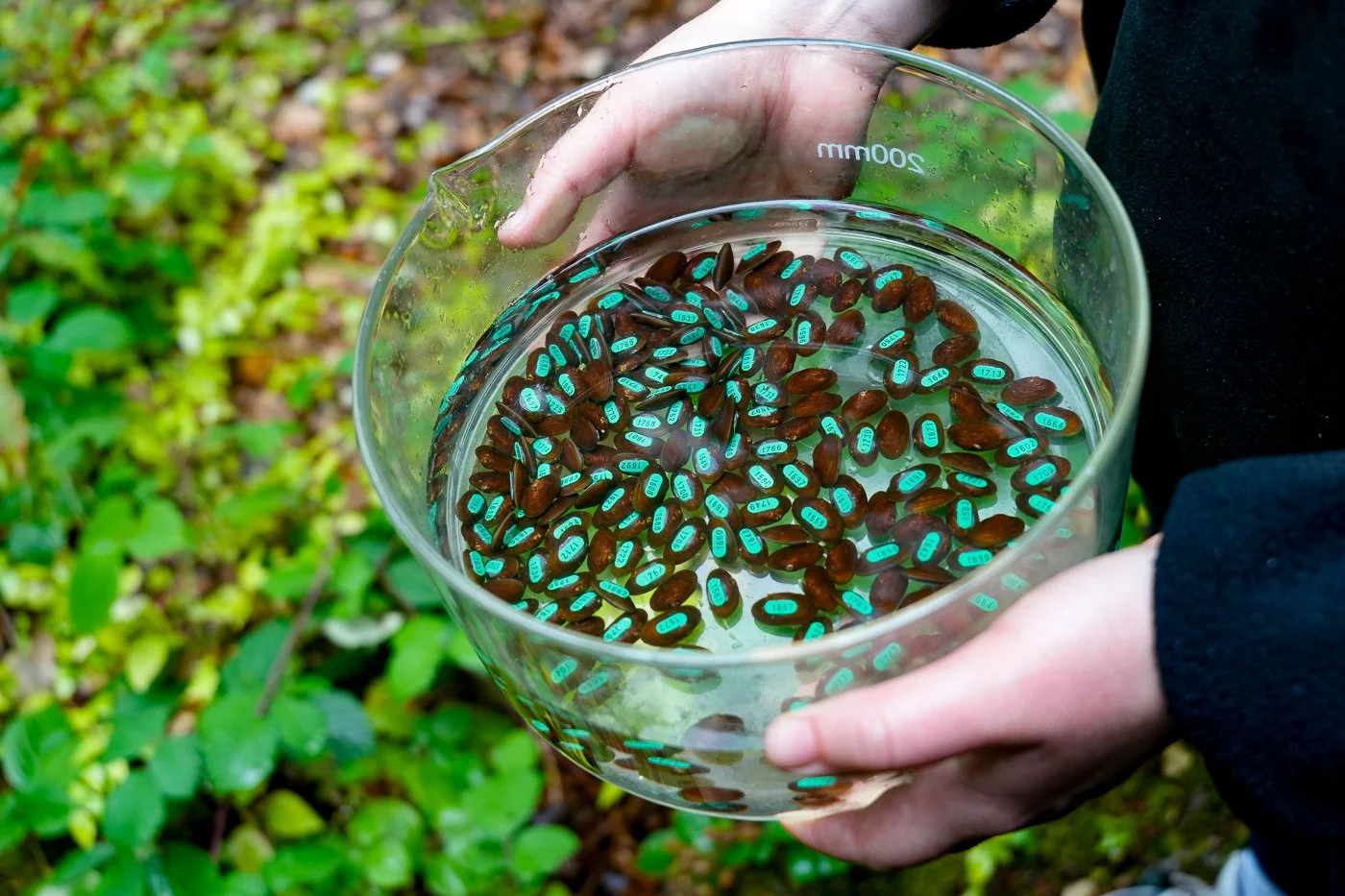 The next five years: the FBA’s commitment to action for freshwaters