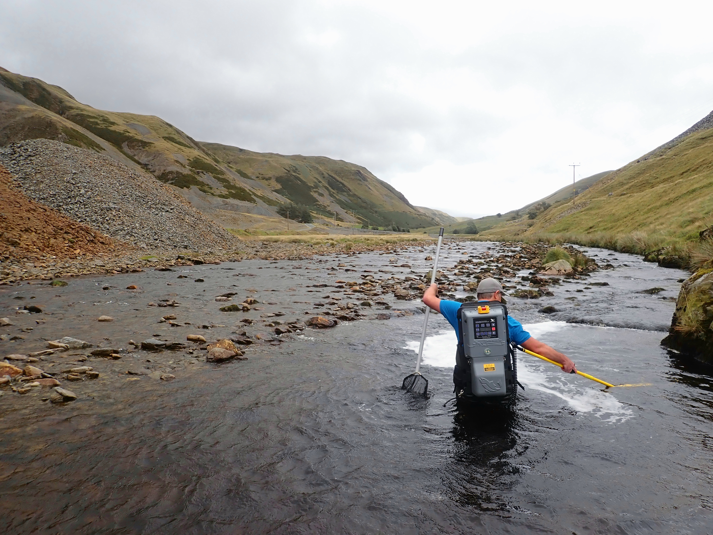 Electrofishing at Cwmystwyth to collect tissue samples from trout in post-industrial rivers, assisted by Dylan Roberts of Game & Wildlife Conservation Trust (GWCT).