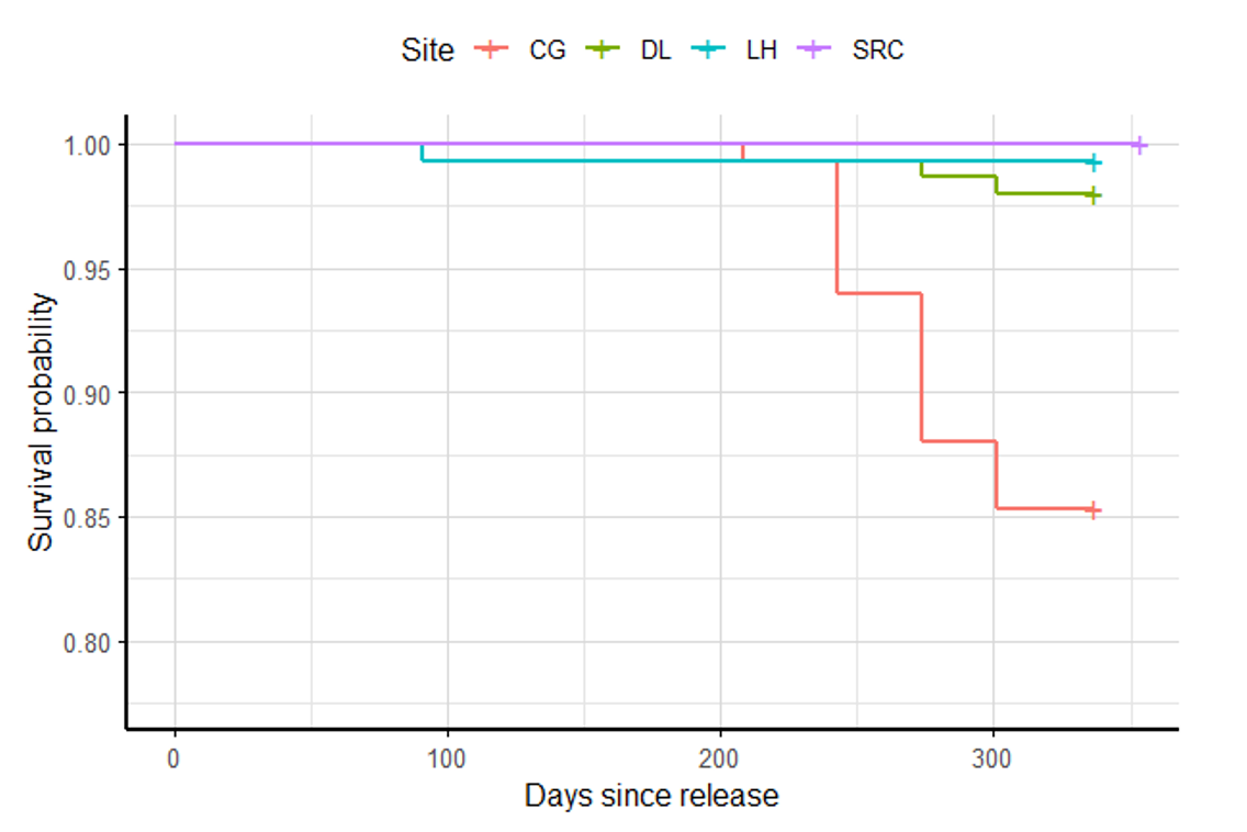 Figure 4. Survivorship curves for mussels at three Esk sites and the SRC control group.