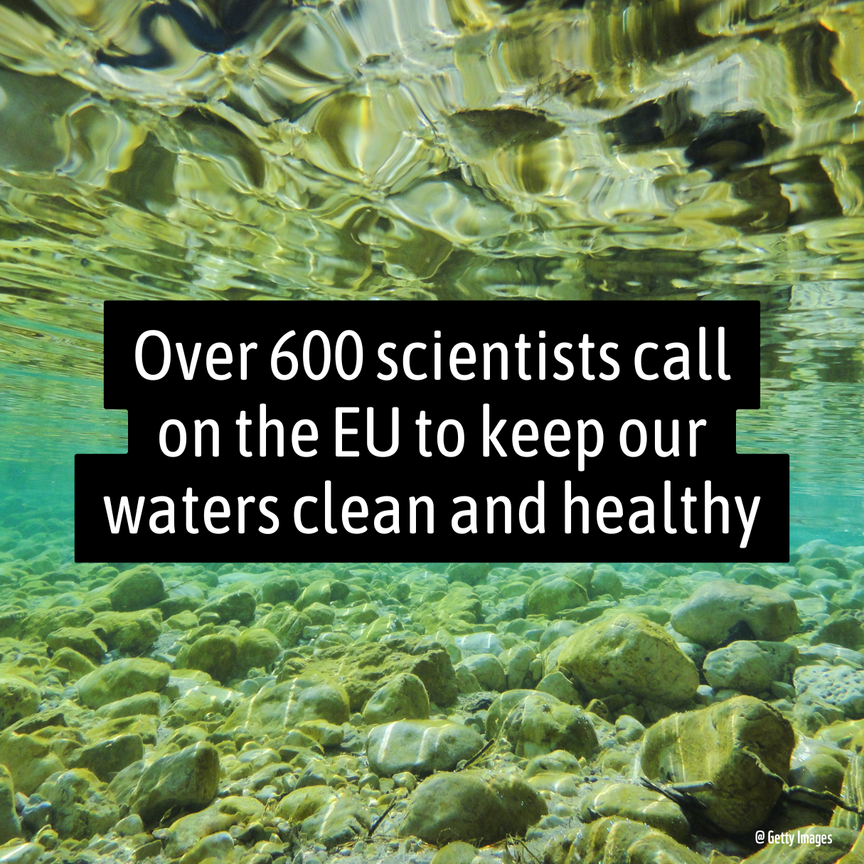 Scientists' statement of support for updated EU water pollution standards