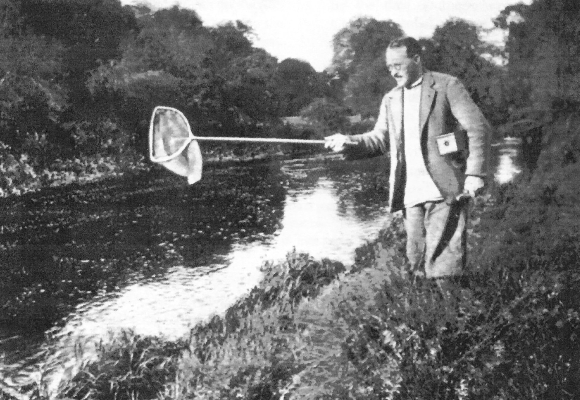 Lough Derg: A pioneering limnological laboratory