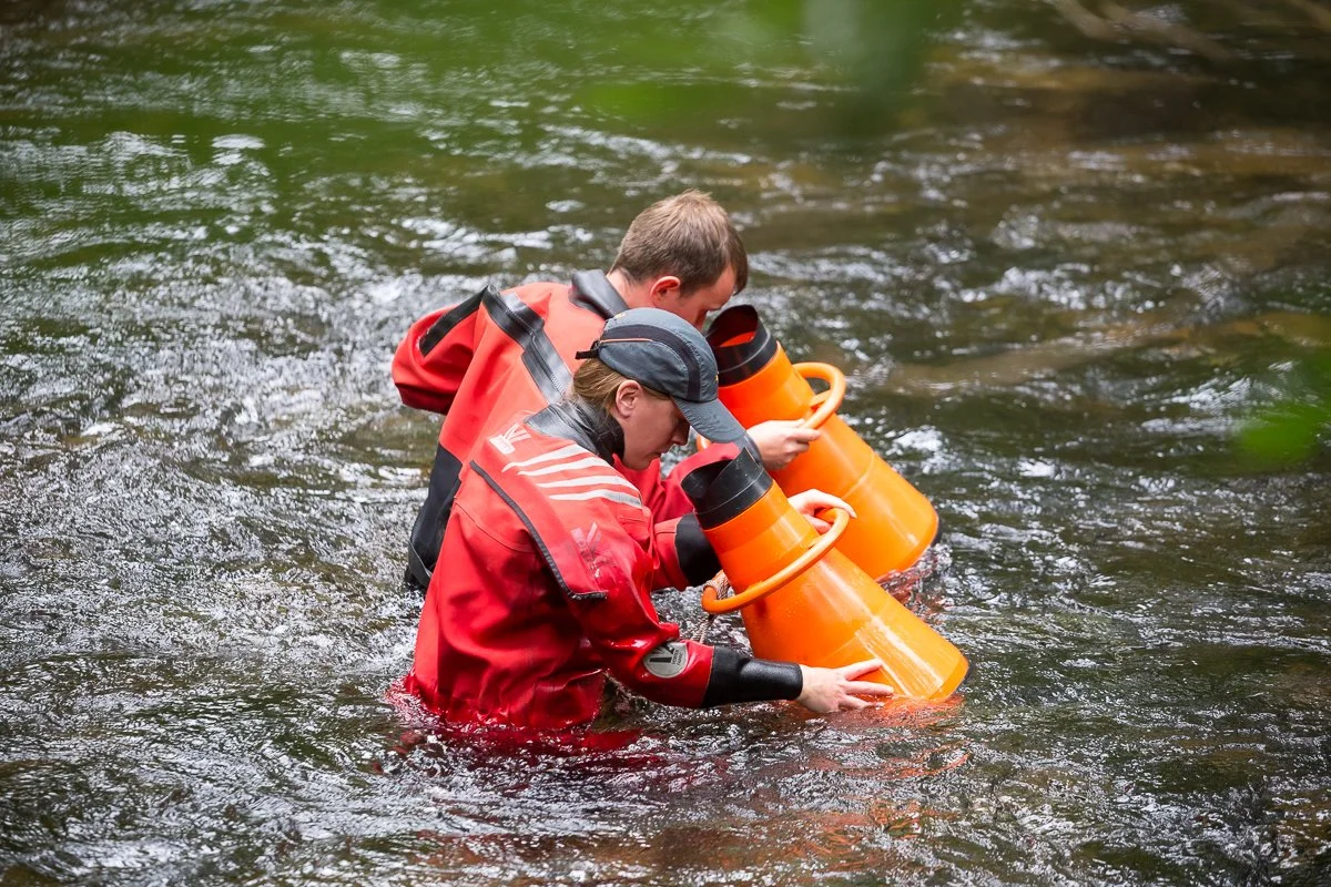 Freshwater pearl mussels included in new Natural England publication