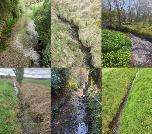 Kick sampling aquatic macroinvertebrate communities in small streams ...