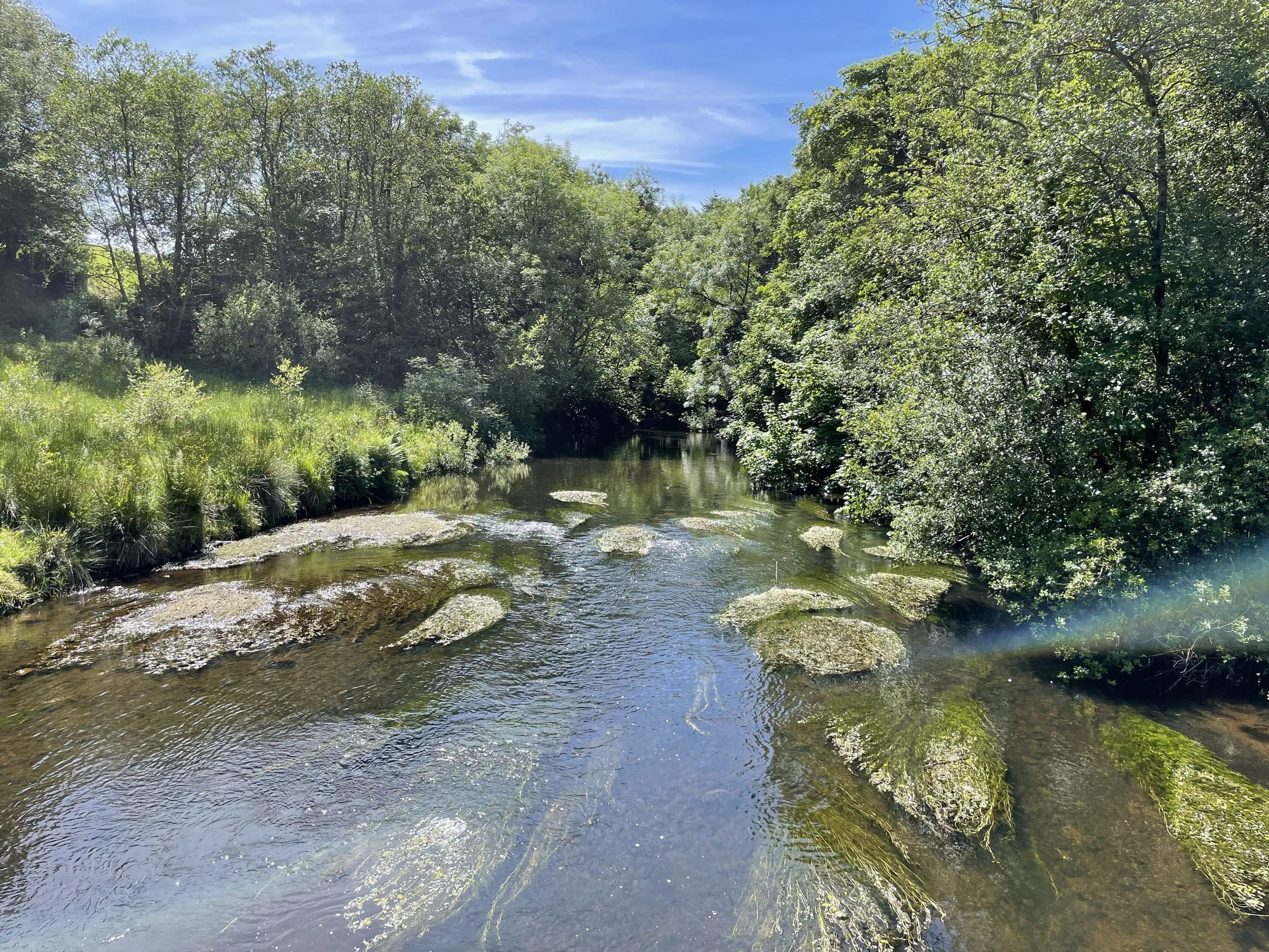 LIFE R4Ever Kent trip to Ballinderry River Trust — Freshwater ...