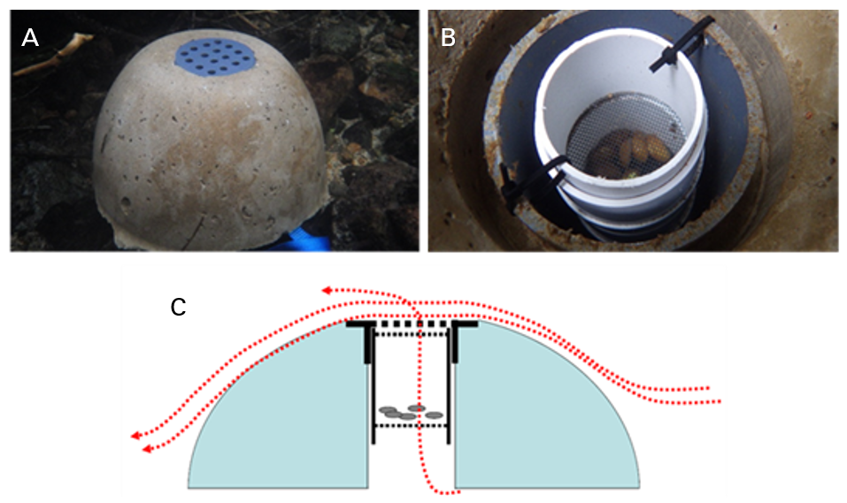 Figure 1. Mussel silos A. from above; B. below with a chamber containing mussels in a cup; and C. in cross section. From Barnhart et al. (2007) and Lavictoire & West (2020).