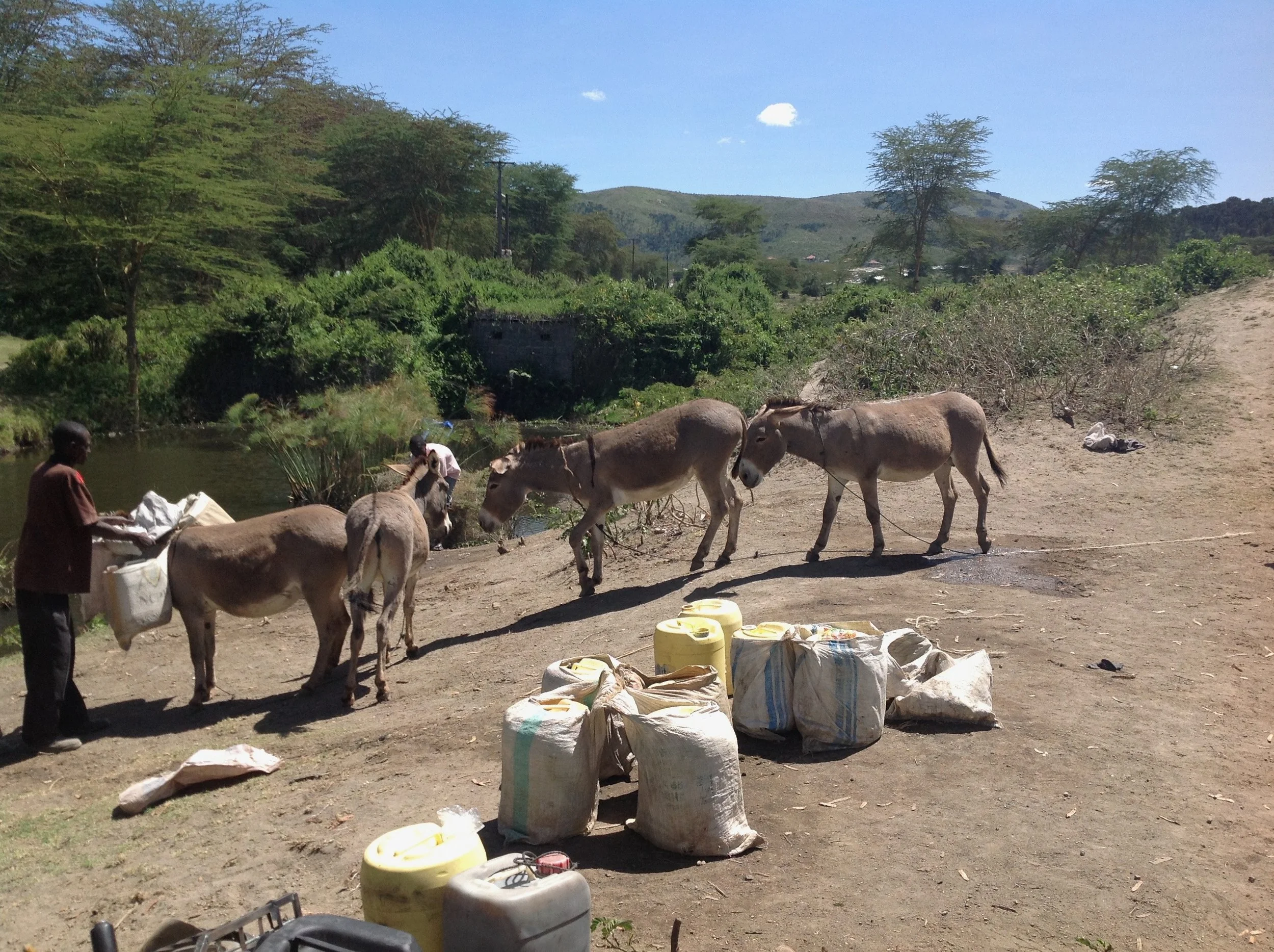 Figure 3. Settlers collect water from the lake.