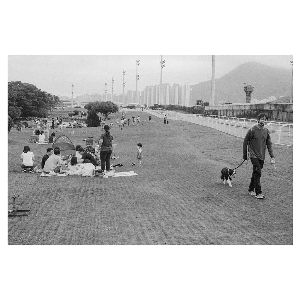 Family Park

#kodak #kodakfilm #kodakprofessional #kodakphoto #kodaktrix #film #filmphotography #analogphotography #blackandwhite #monochrome #35mm #magnumphotos #magnum #spicollective #sphkcollective #dog
