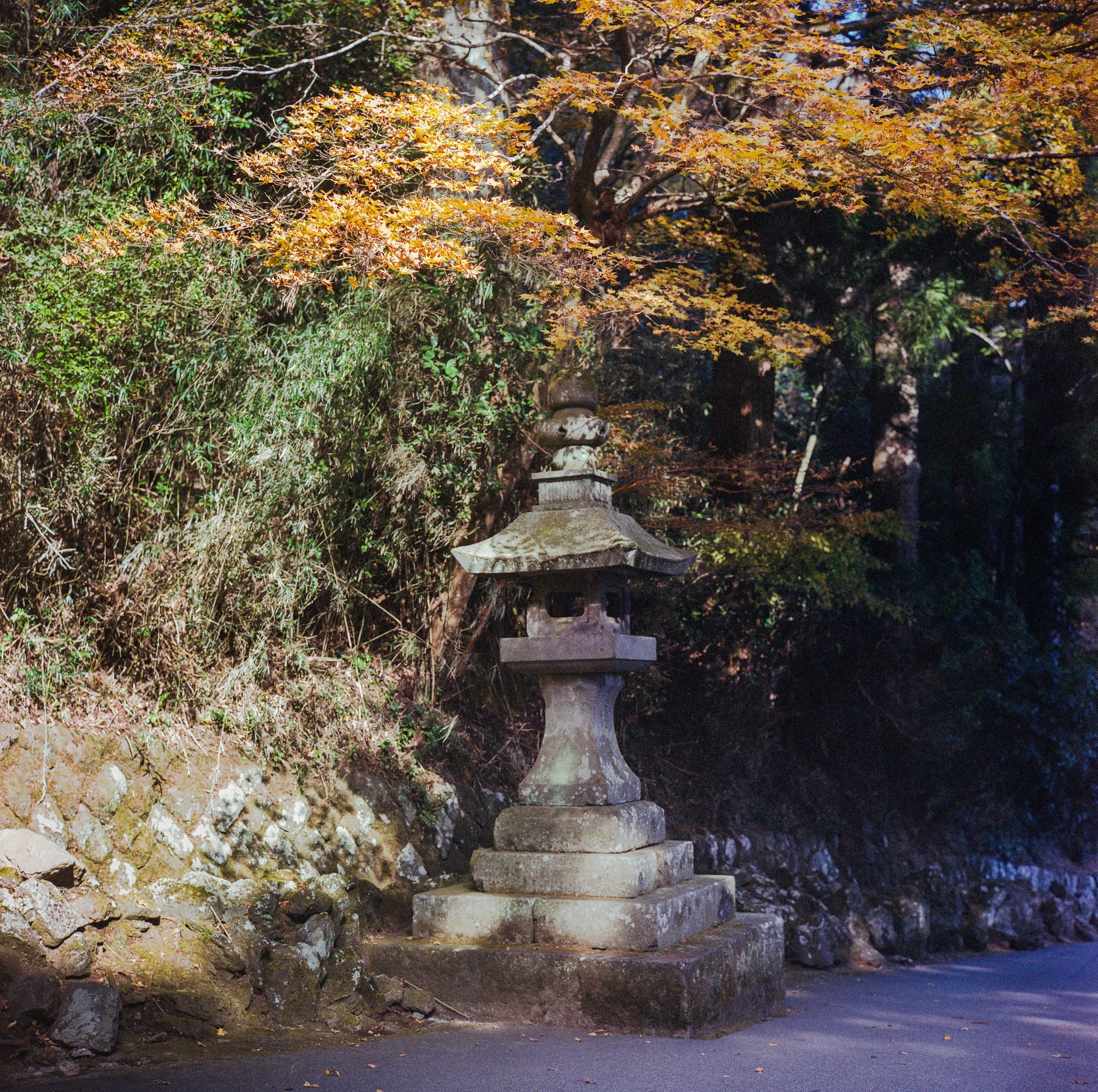2025 Nov Tokyo (8)_ Portra 400_6.jpeg