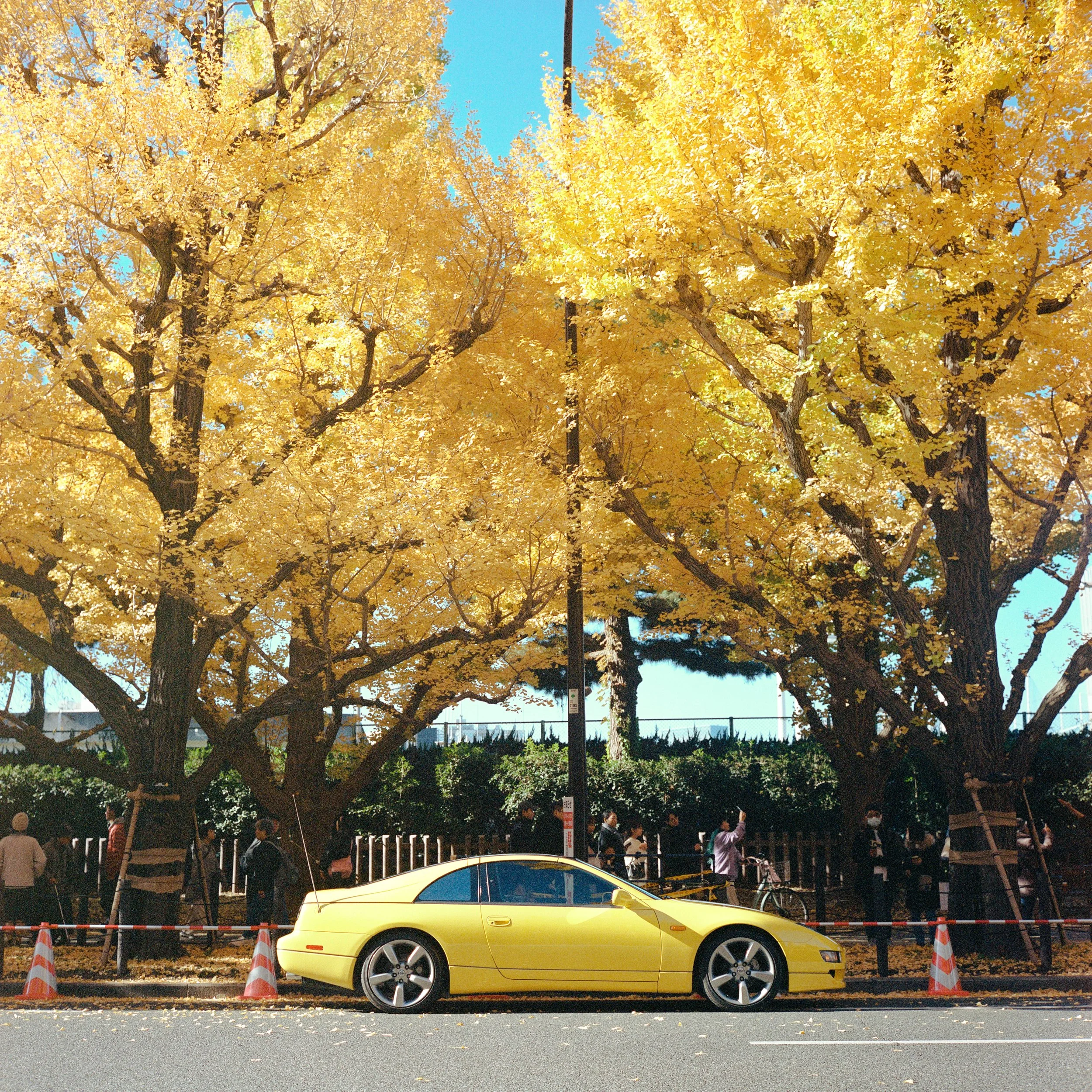 2025 Nov Tokyo (9)_ Portra 400_6.jpeg