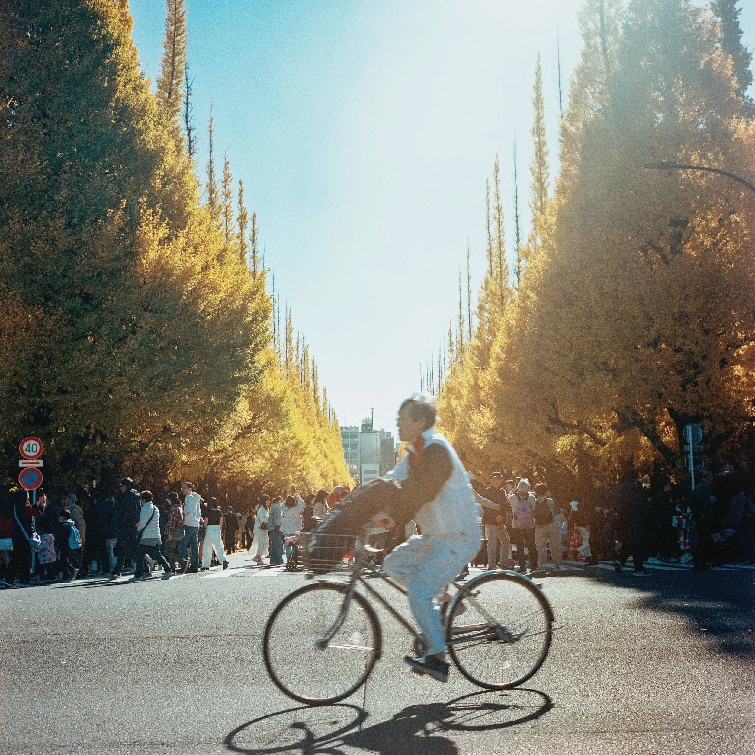 2025 Nov Tokyo (9)_ Portra 400_11.jpeg