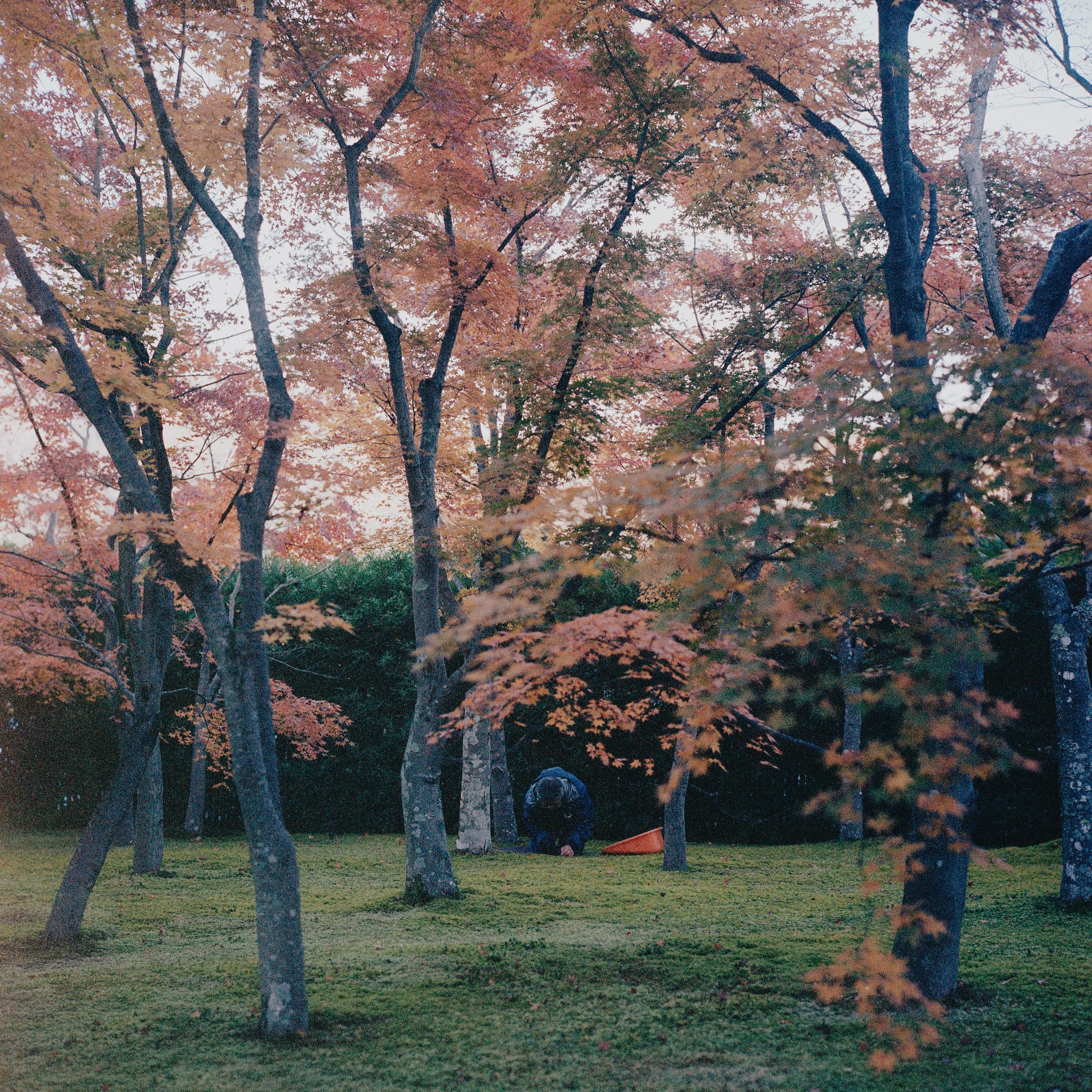 2025 Nov Tokyo (3)_ Portra 400_12.jpeg