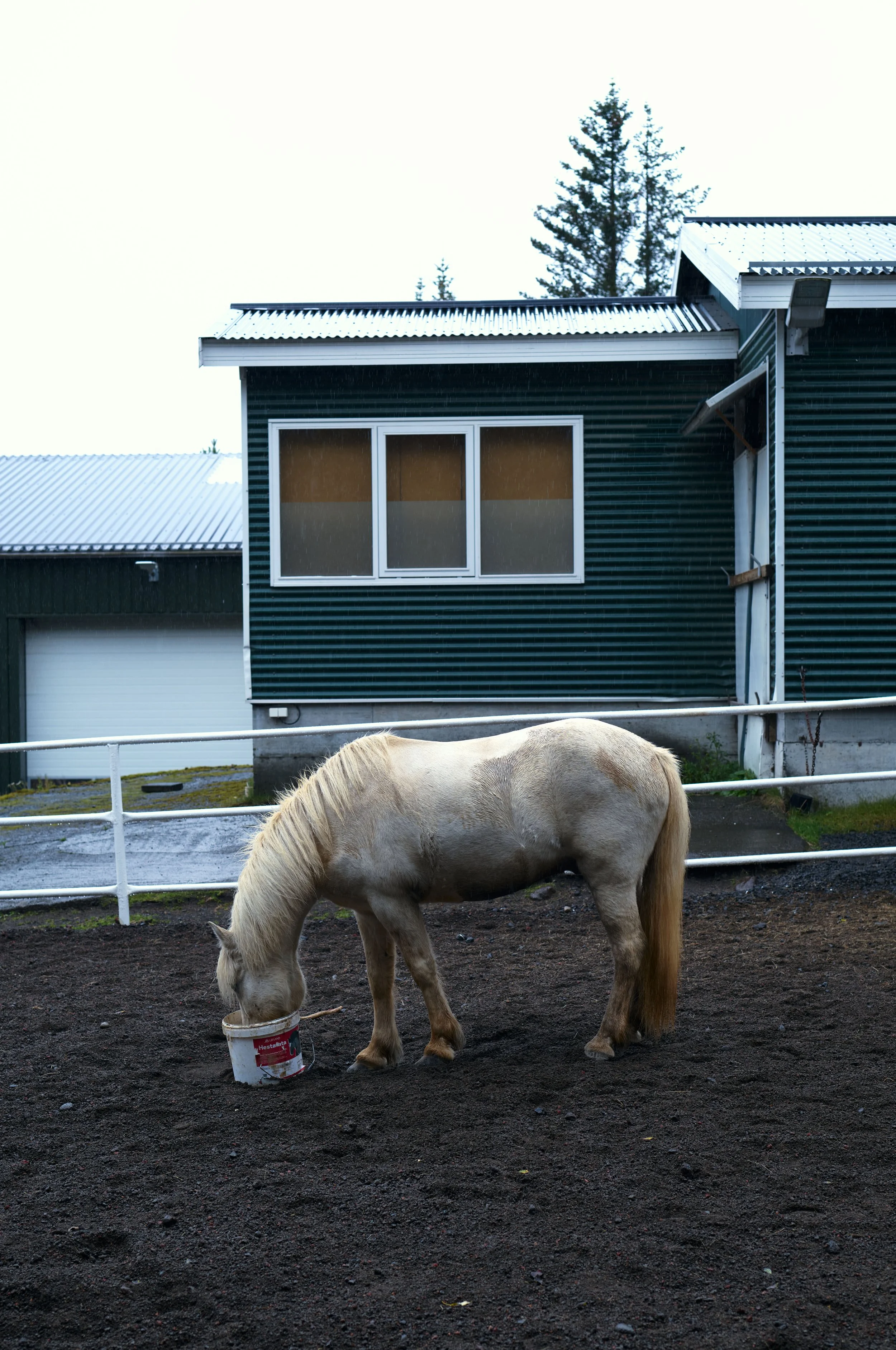 L1001478.jpg