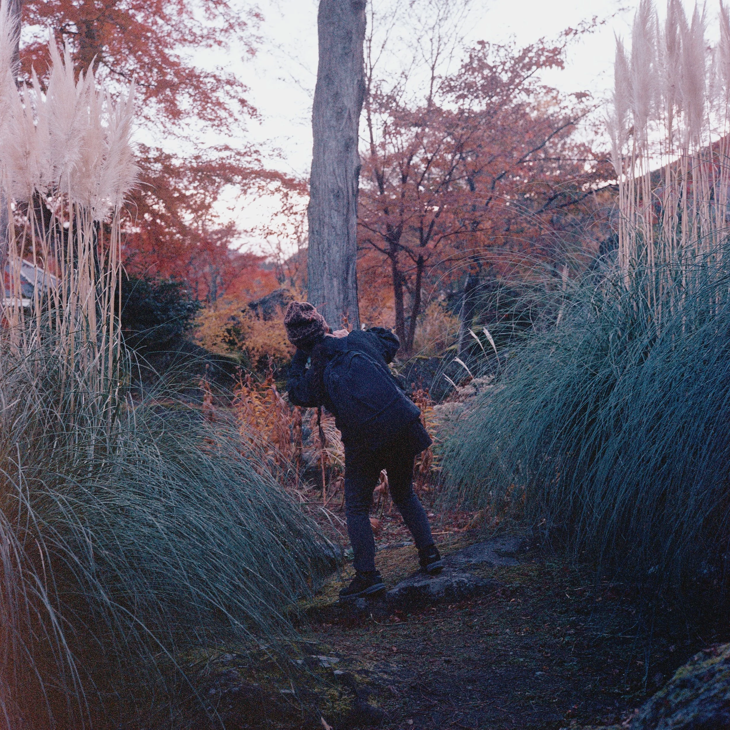 2025 Nov Tokyo (3)_ Portra 400_6.jpeg