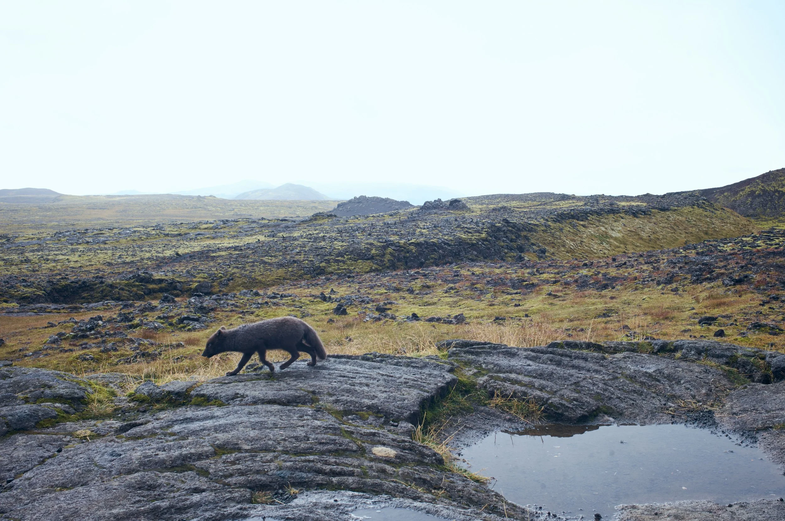 L1002464.jpg