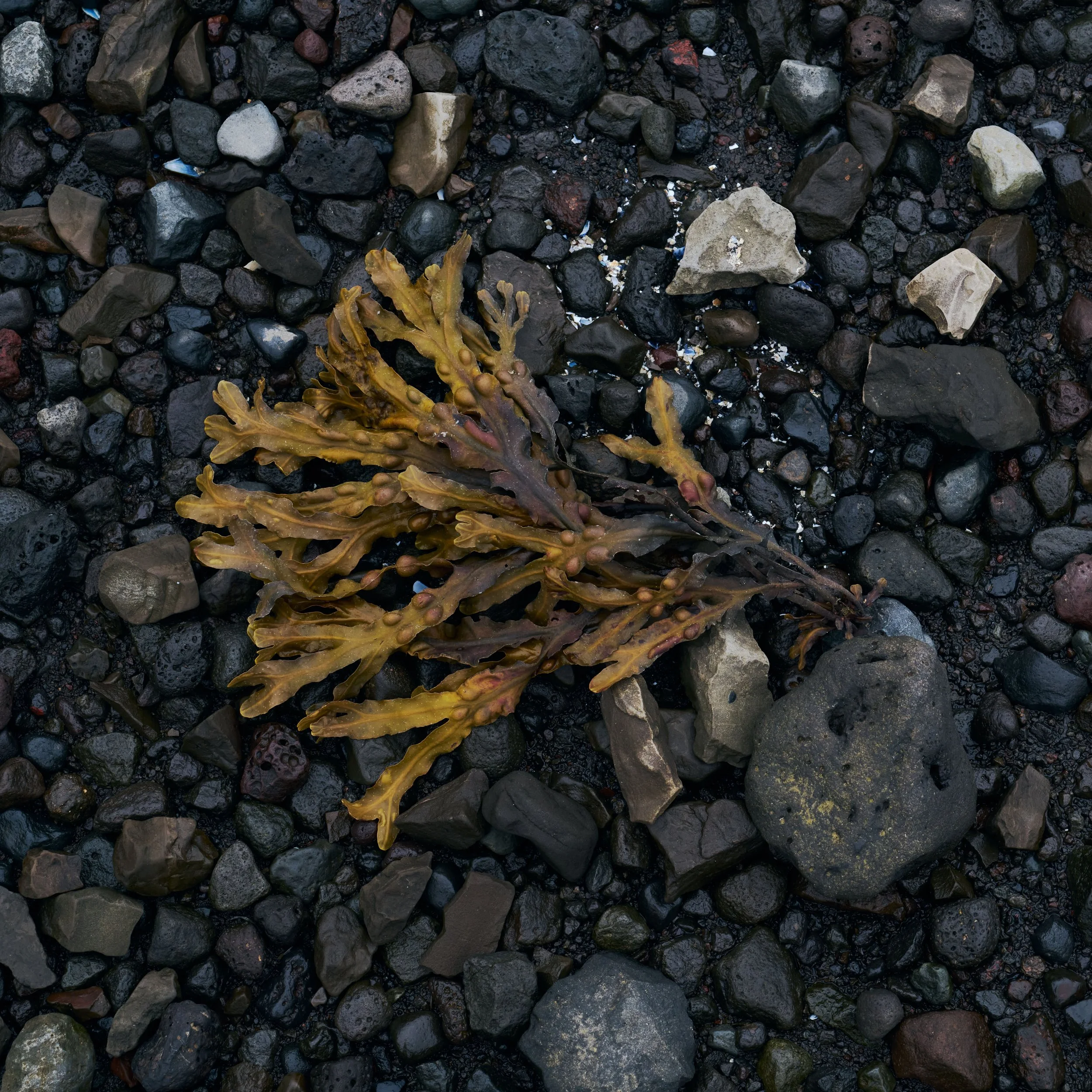 L1001426.jpg