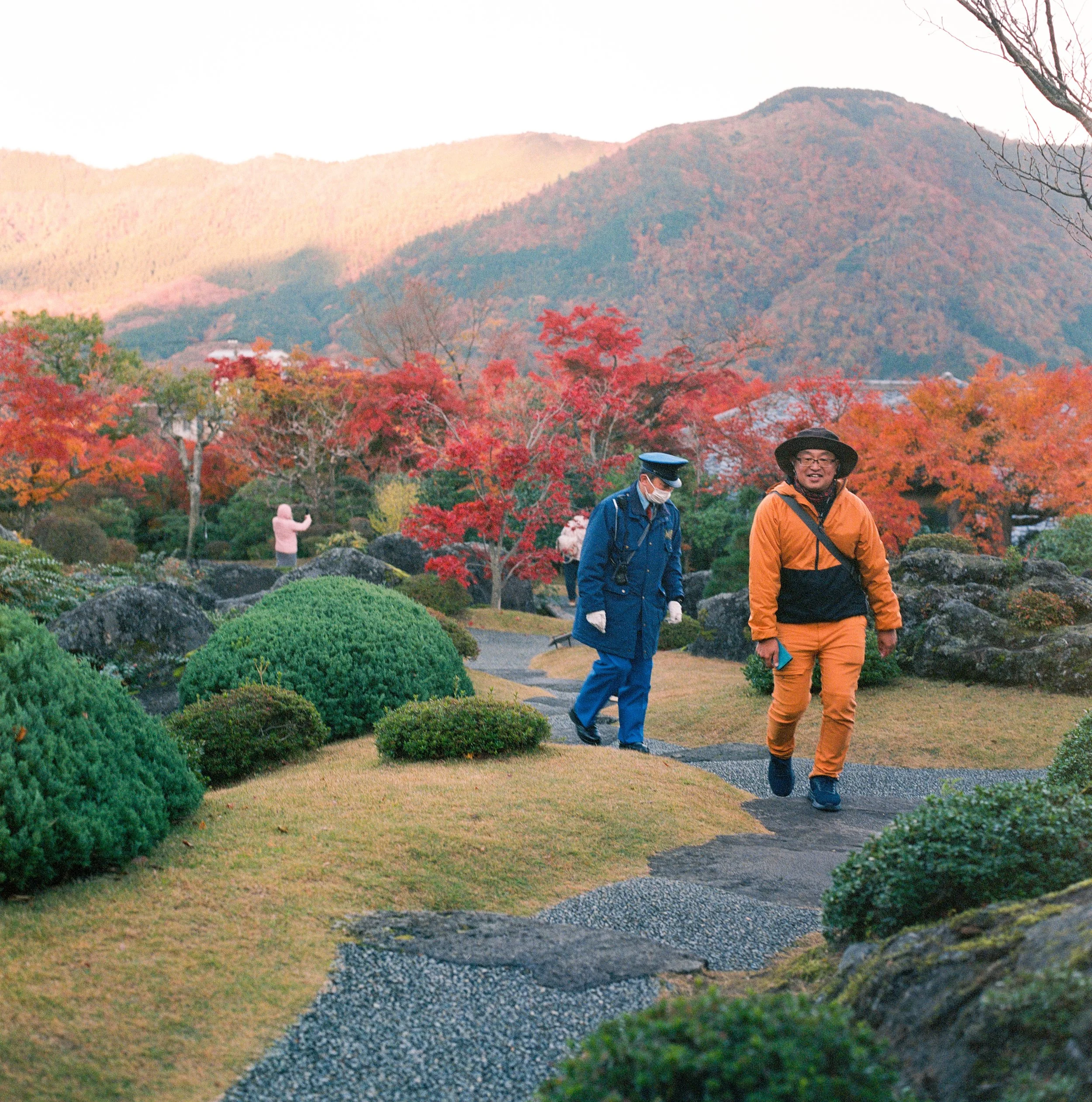 2025 Nov Tokyo (14)_ Portra 800_2.jpeg