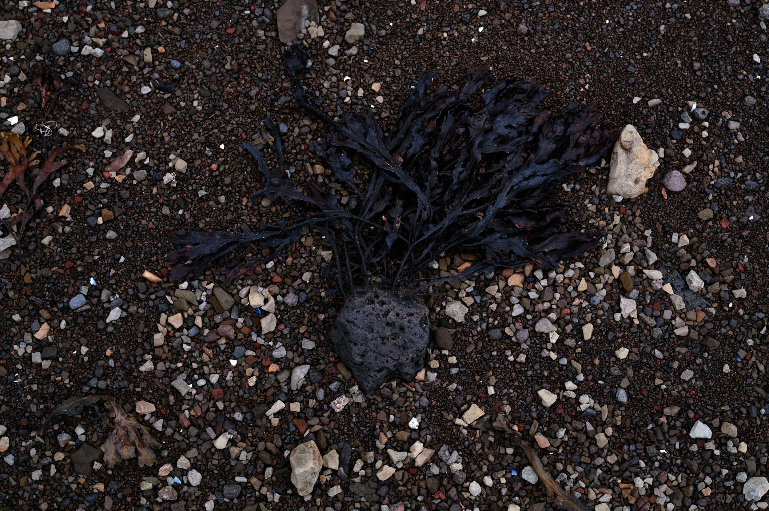 L1001427.jpg