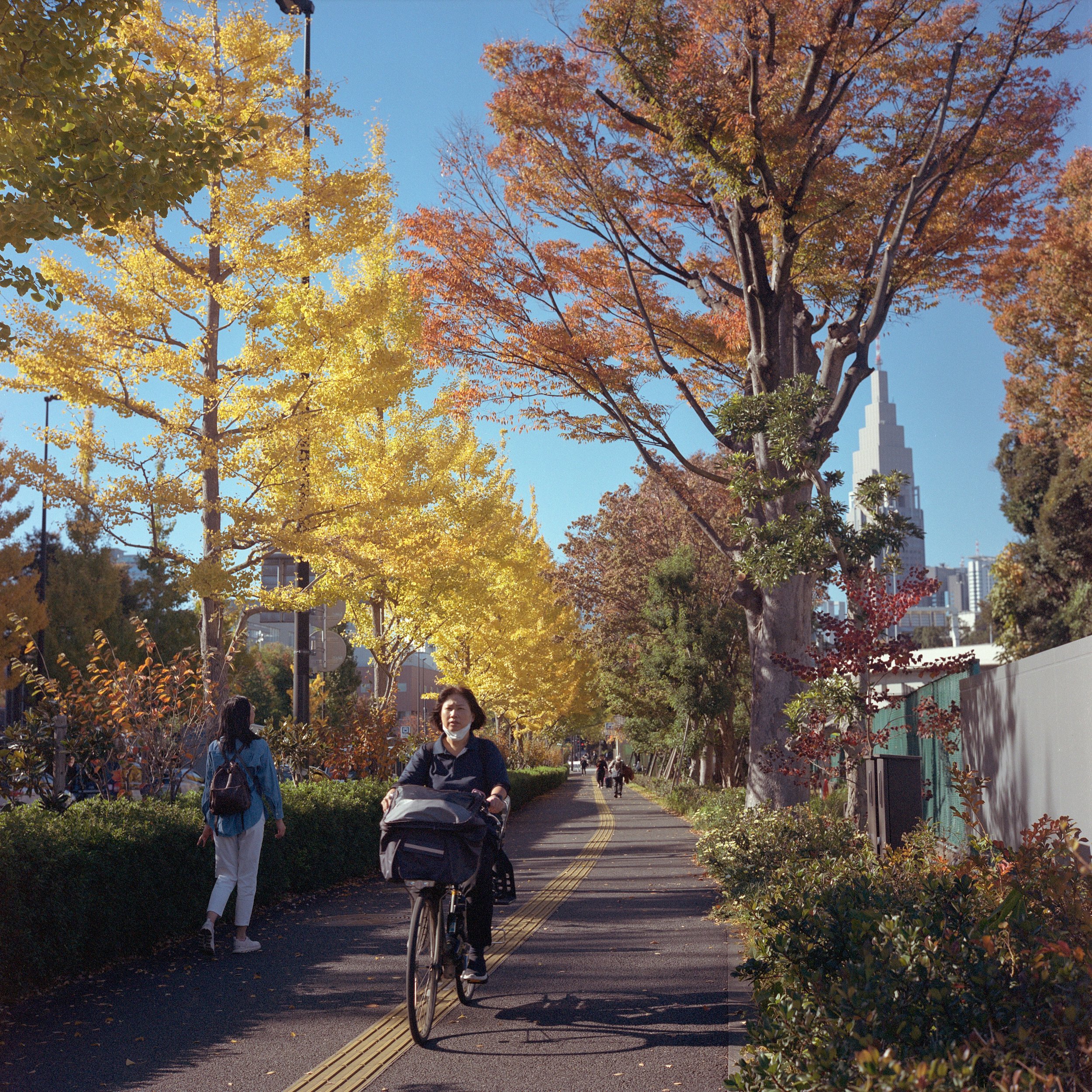2025 Nov Tokyo (6)_ Portra 400_11.jpg