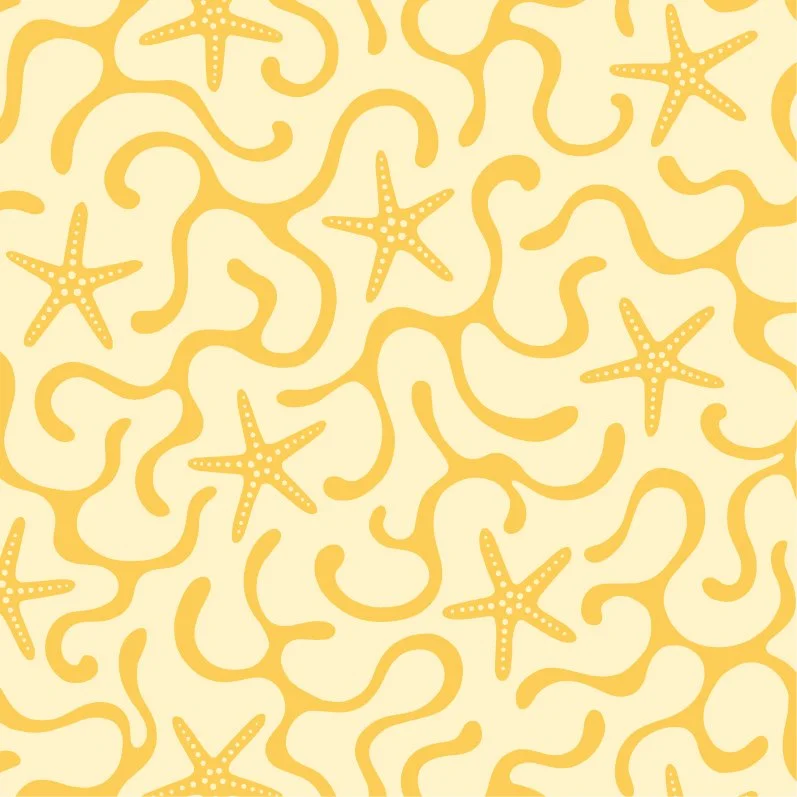 03. Sunny starfish