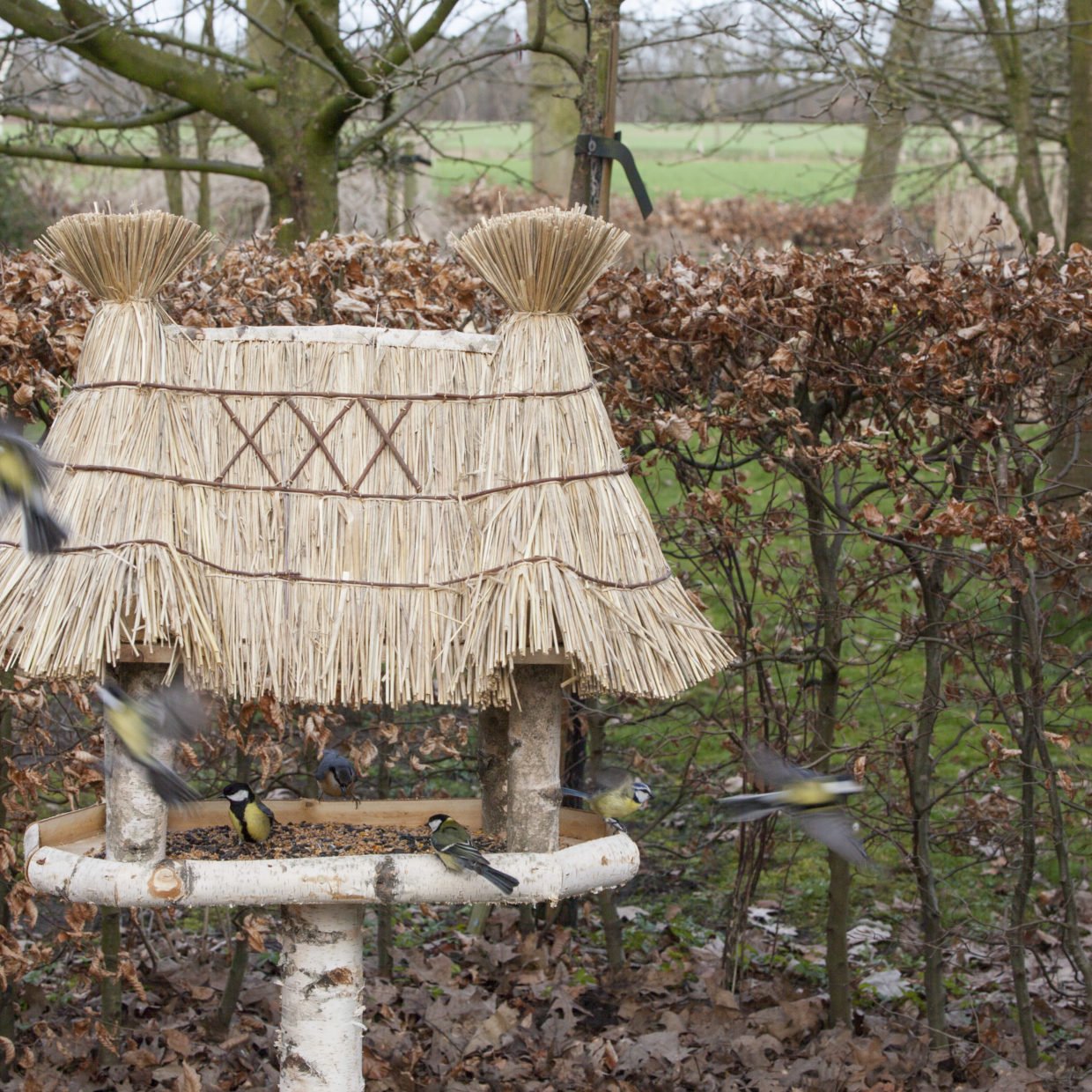 Vogeltelling 28 en 29 januari 2023