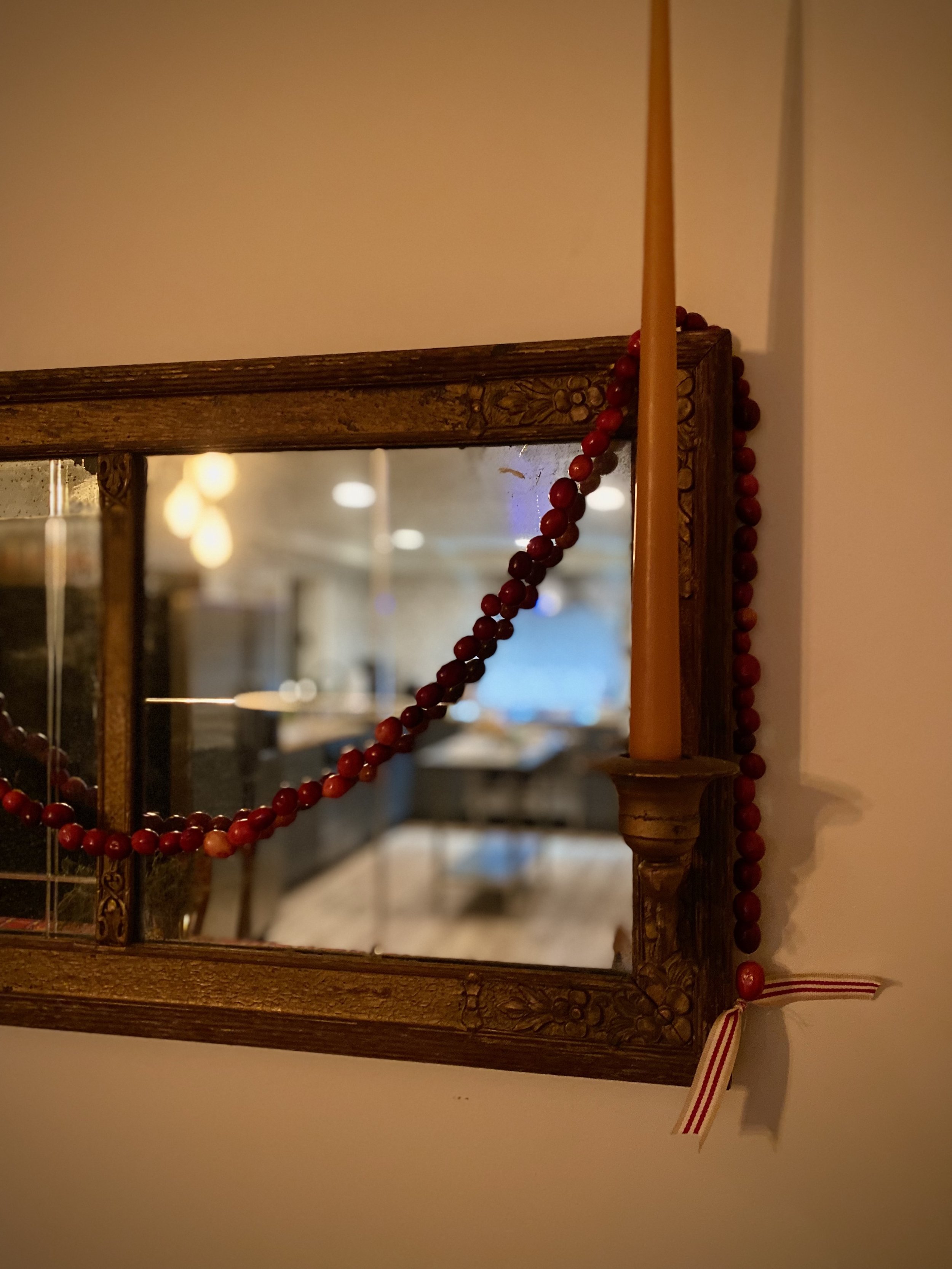 Cranberry Garland (dried and fresh)