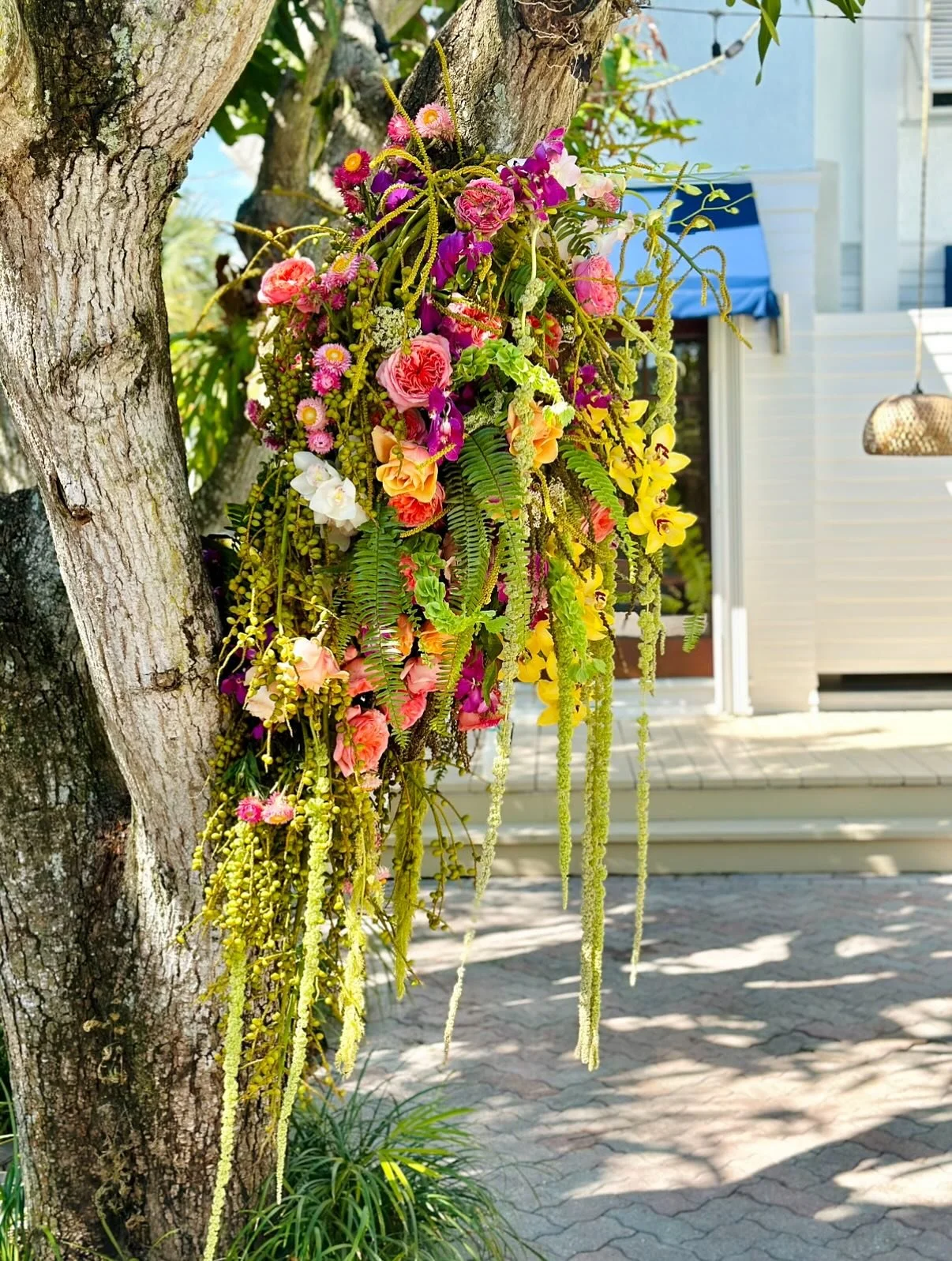 Arches, reimagined the High Society way✨I love weaving nature into my designs to create ceremony backdrops that feel effortlessly romantic, unique, and alive.