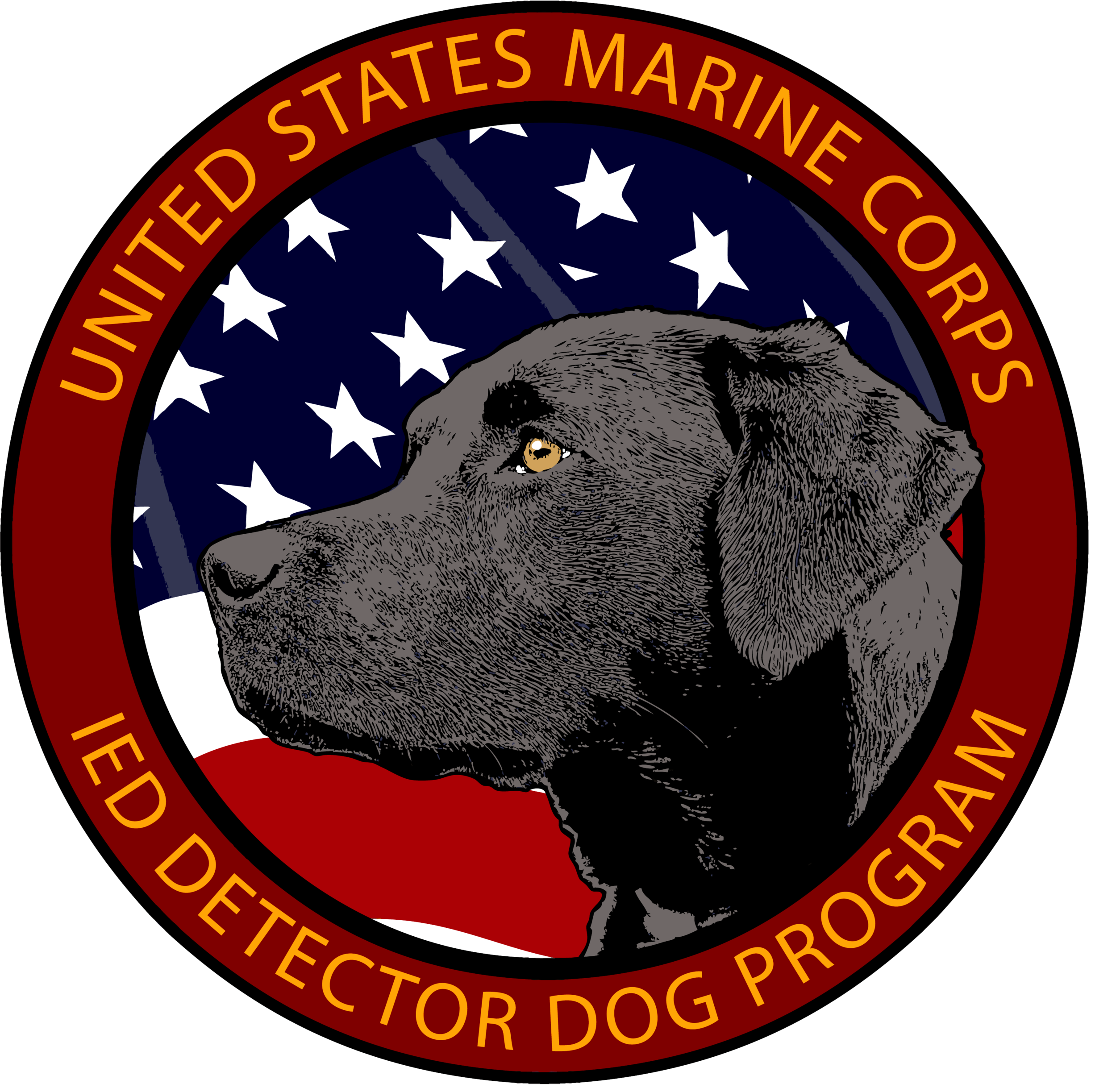 Year unknown: IED Program Logo