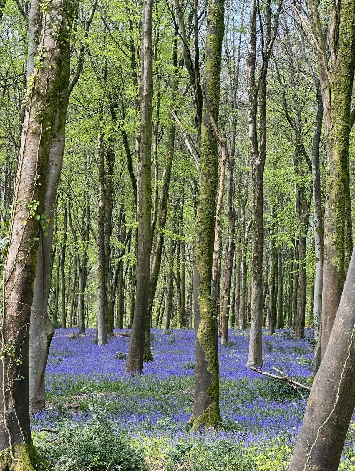 WhatsApp Image 2026-03-18 at 19.50.28 (1).jpeg