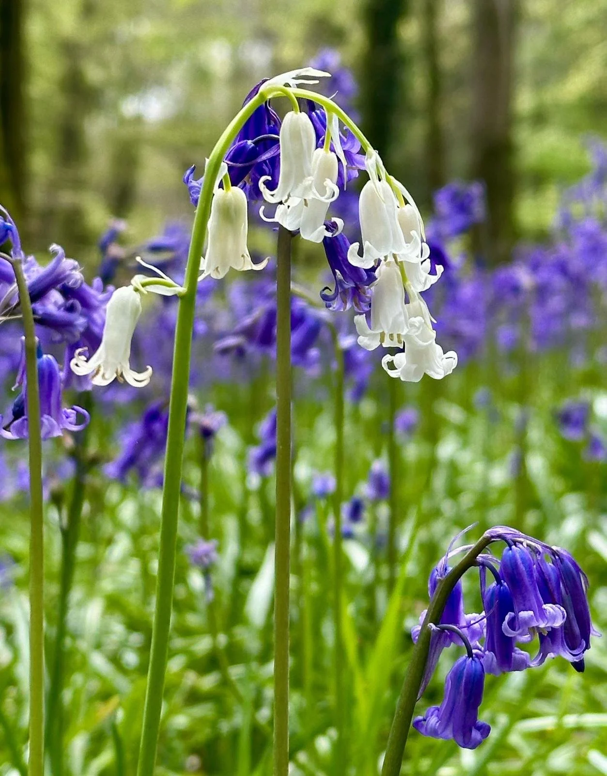 WhatsApp Image 2026-03-18 at 19.50.28.jpeg