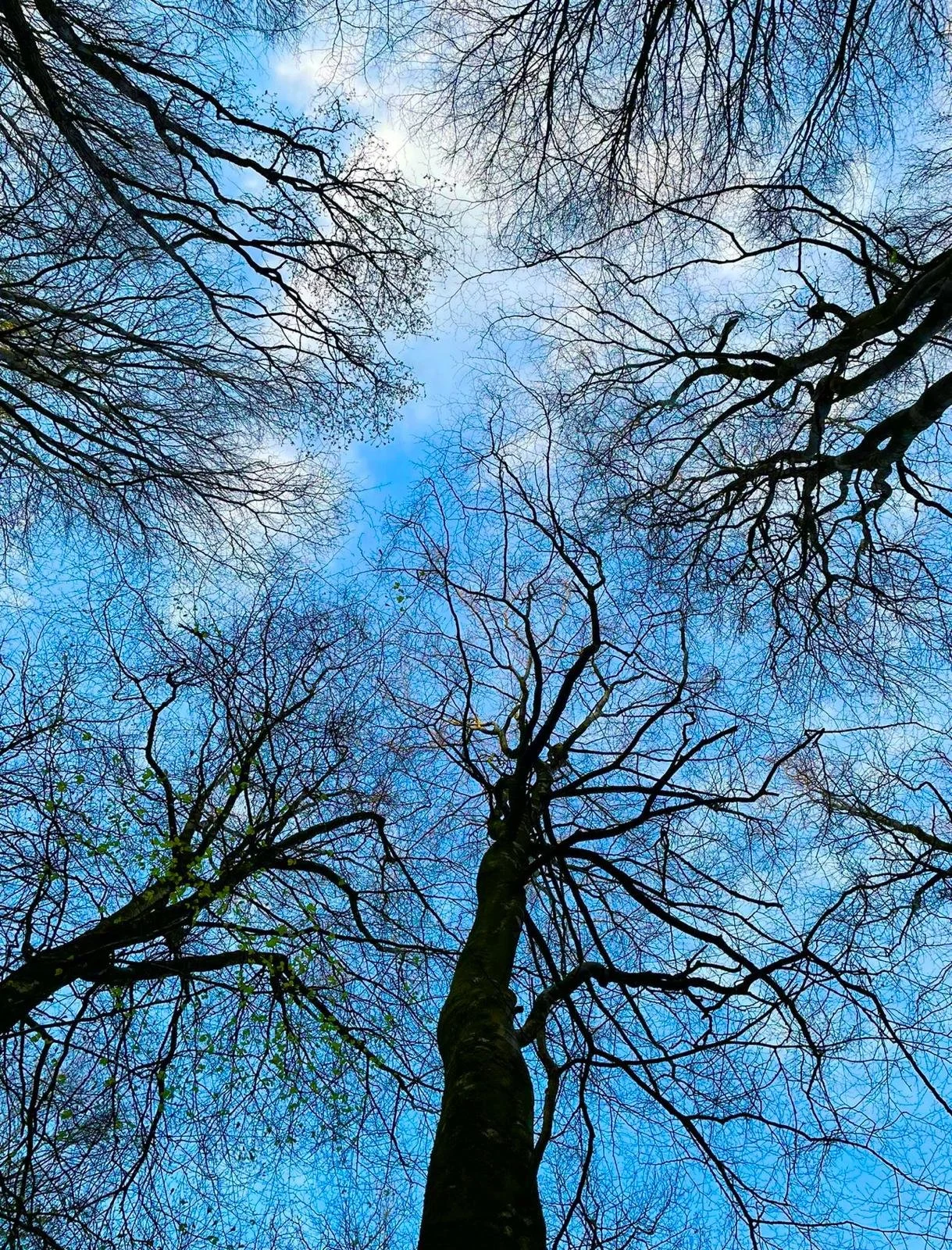 WhatsApp Image 2026-03-18 at 19.50.28 (5).jpeg