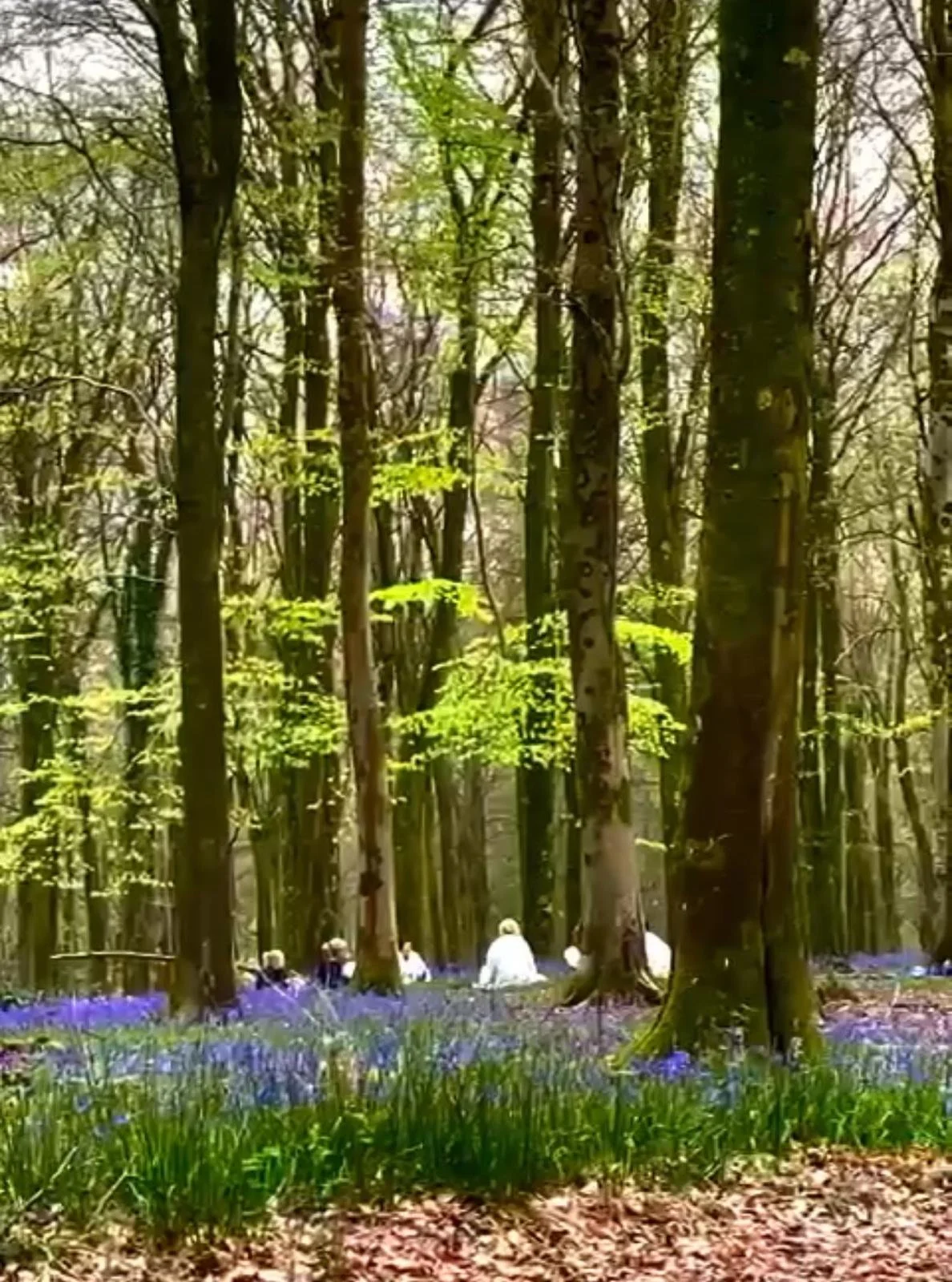 WhatsApp Image 2026-03-18 at 19.50.28 (3).jpeg