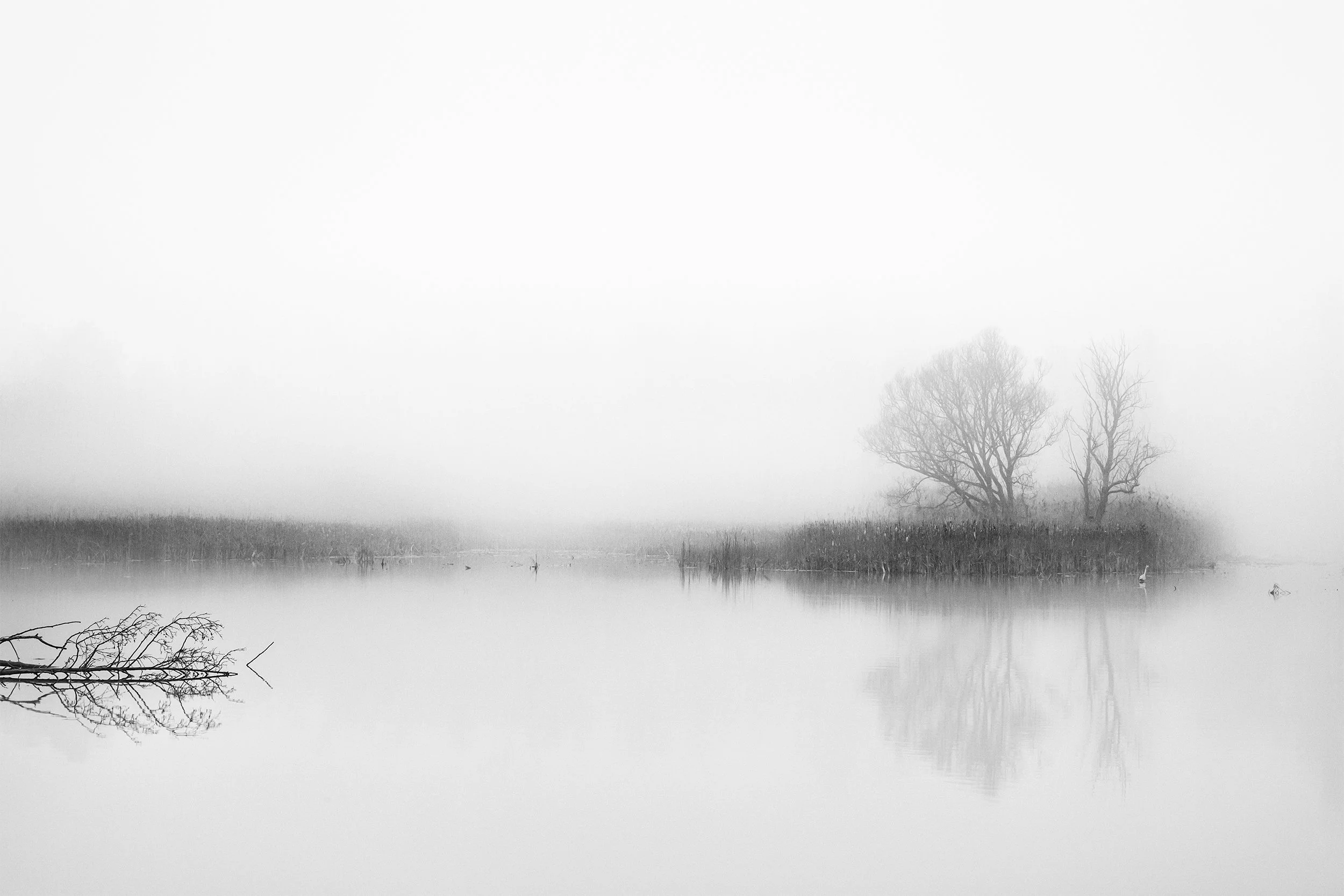 Hobokense Polder, Hoboken (12-2016)