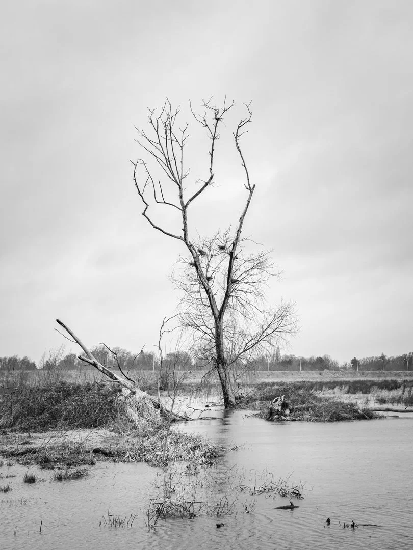 Bourgoyen-Ossenmeersen, Gent (01-2023)