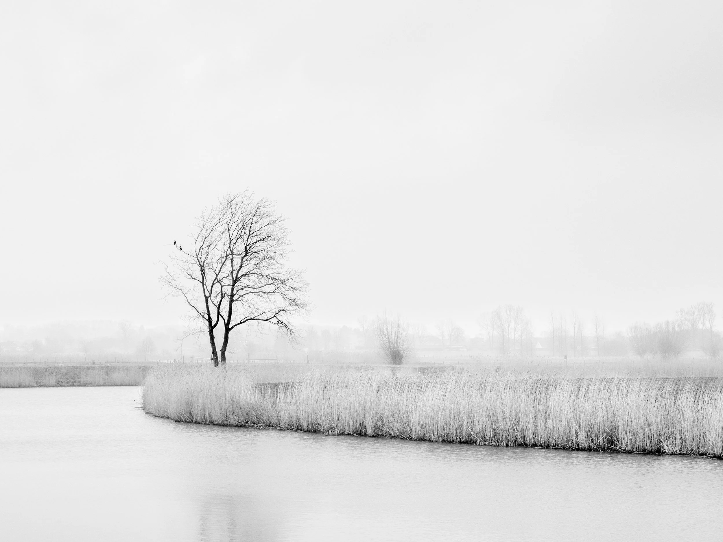 Kalkense Meersen (03-2021)