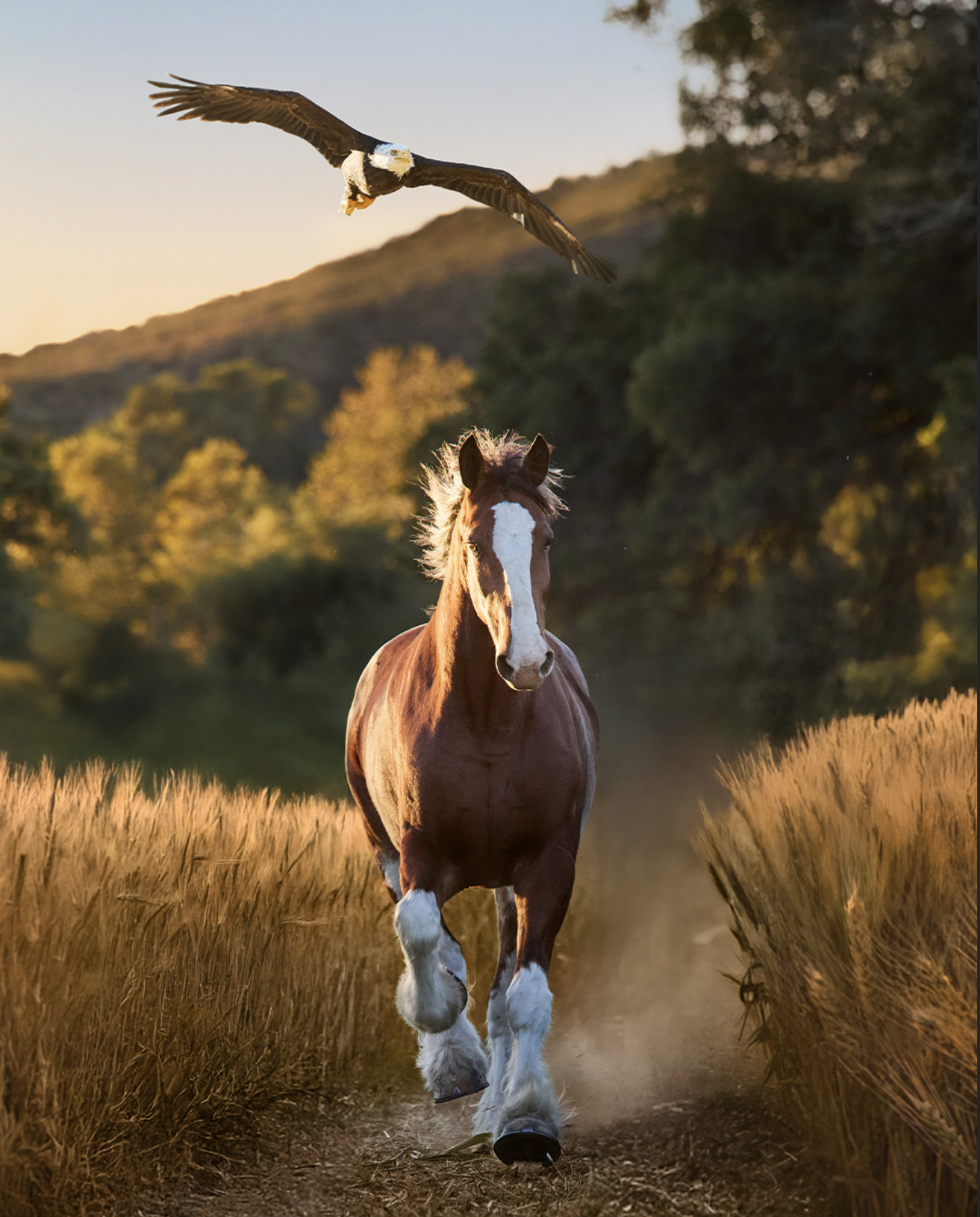 Screenshot 2026-02-08 at 11.07.43 PM.png