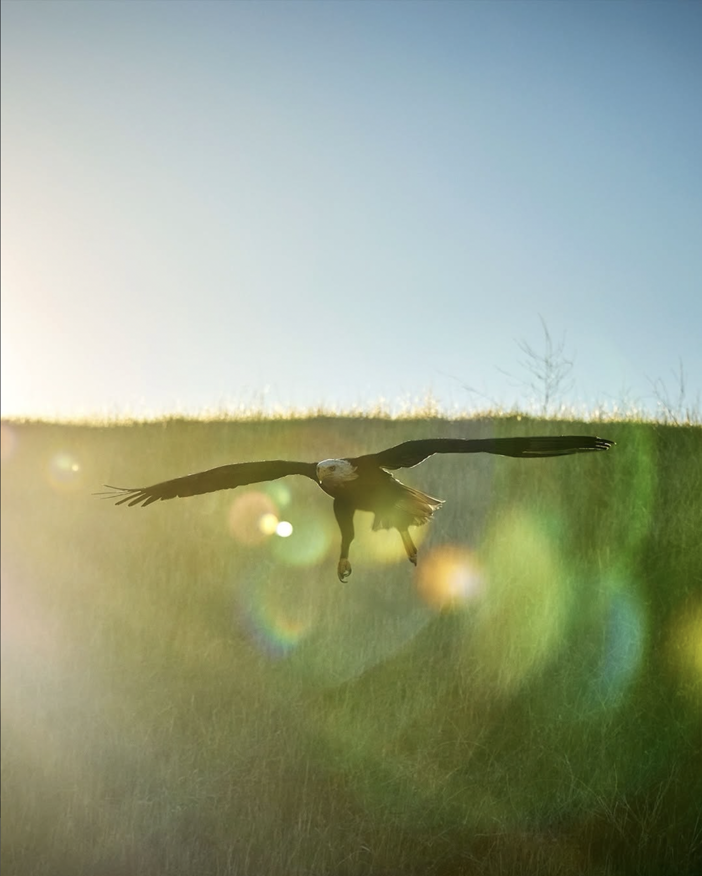 Screenshot 2026-02-08 at 11.09.05 PM.png