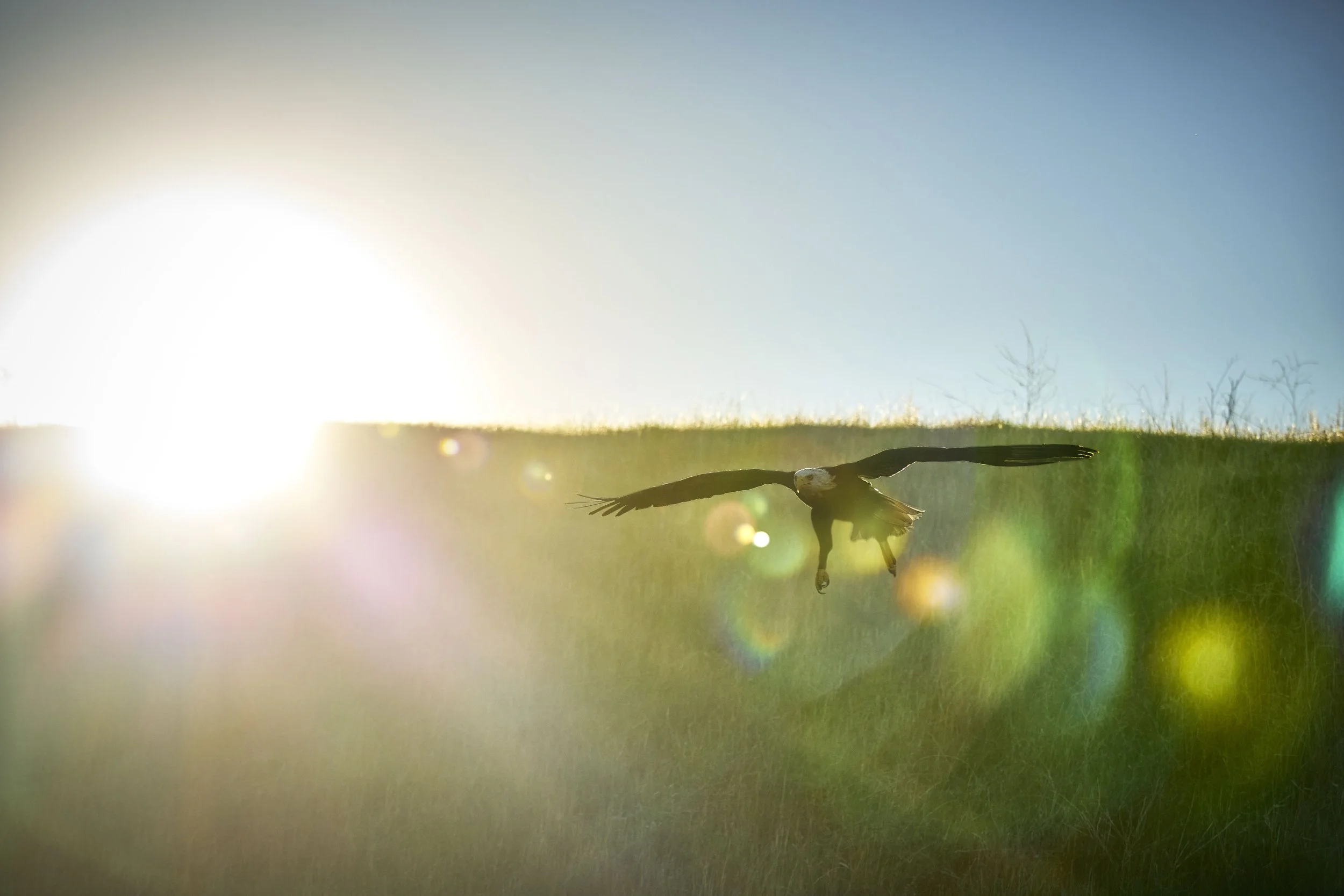 gg_251027_32-Eagle-B_14664_25m_RGB copy.jpg