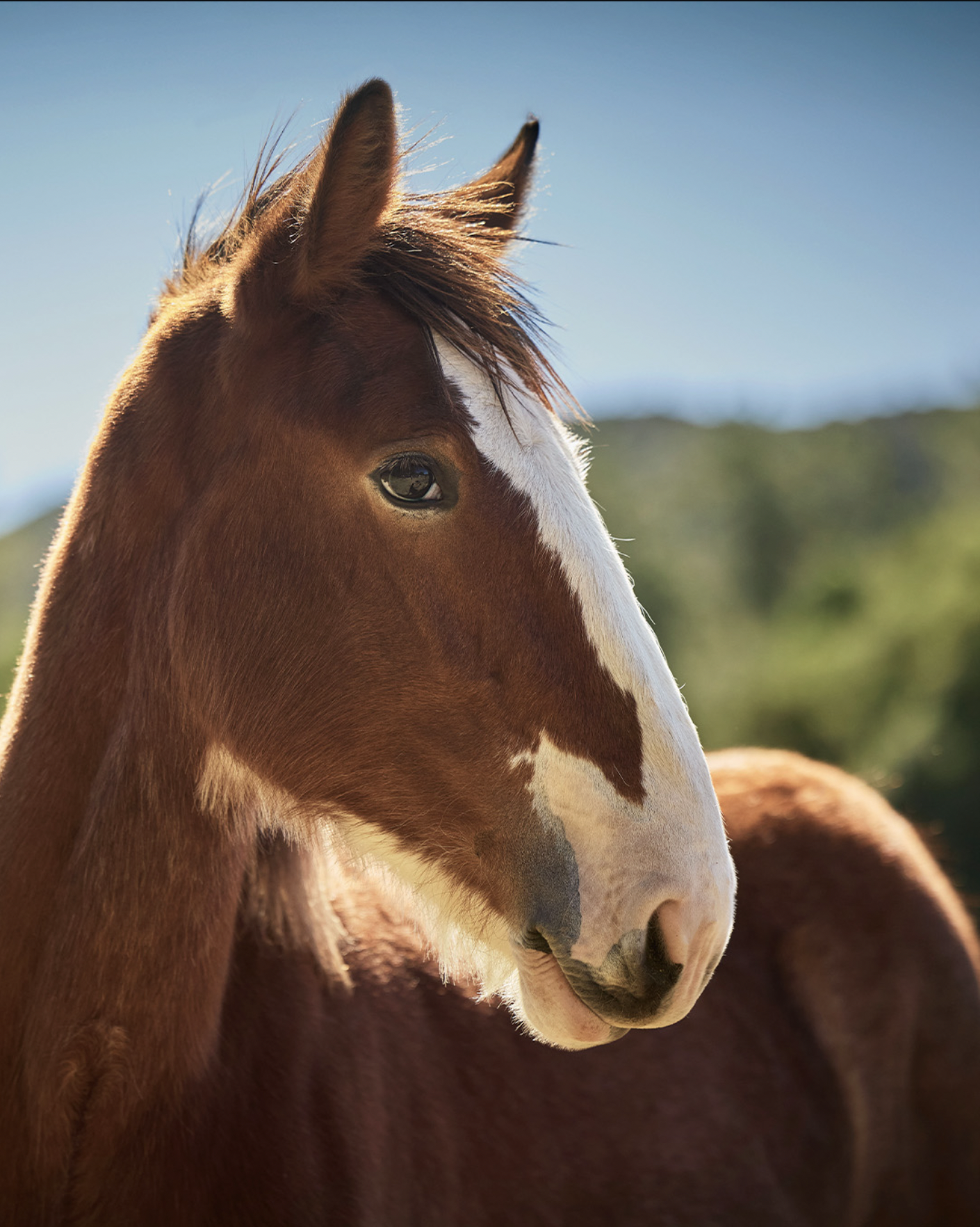 Screenshot 2026-02-08 at 11.08.17 PM.png