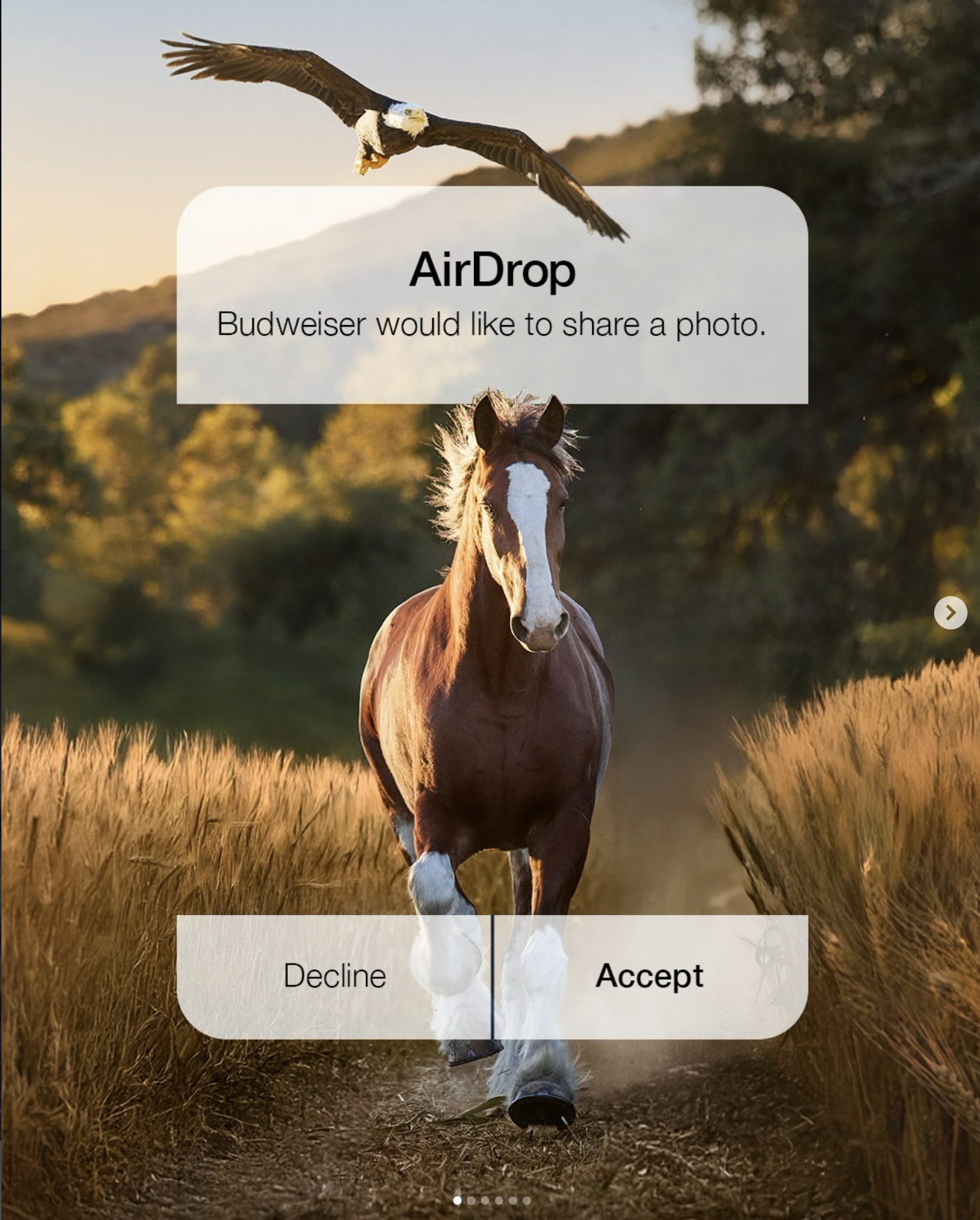 Screenshot 2026-02-08 at 11.06.17 PM.png