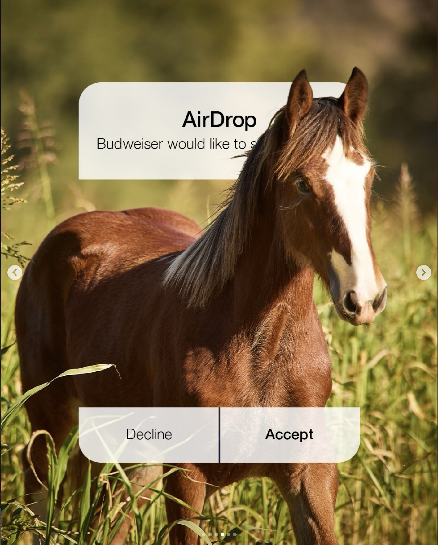 Screenshot 2026-02-08 at 11.06.50 PM.png