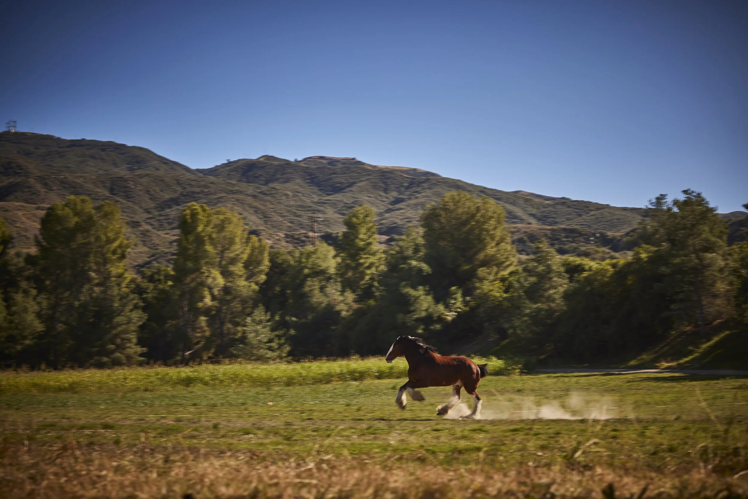 GG_BUD_Superbowl_2025_WEB 23.jpg