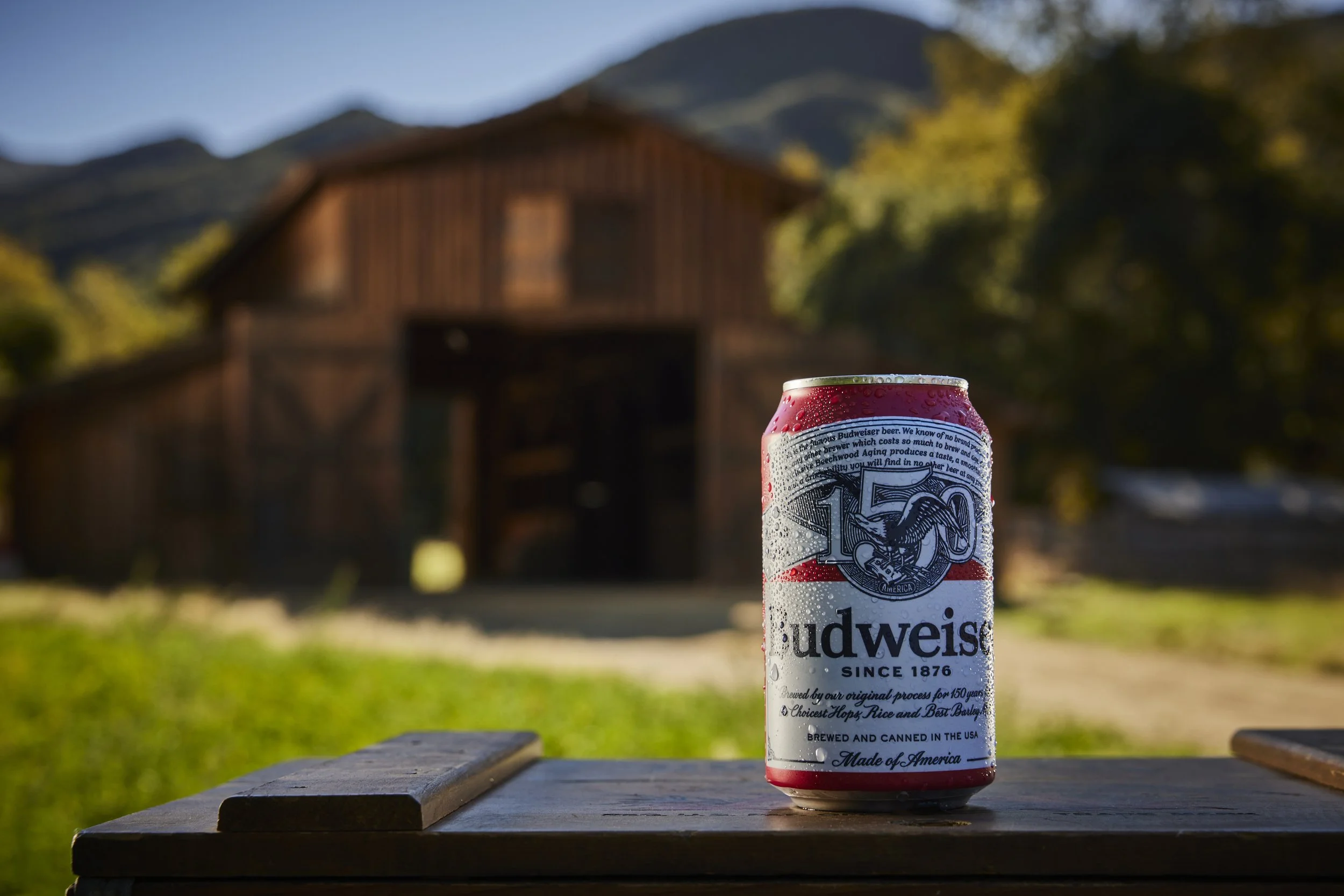 GG_BUD_Superbowl_2025_WEB 17.jpg