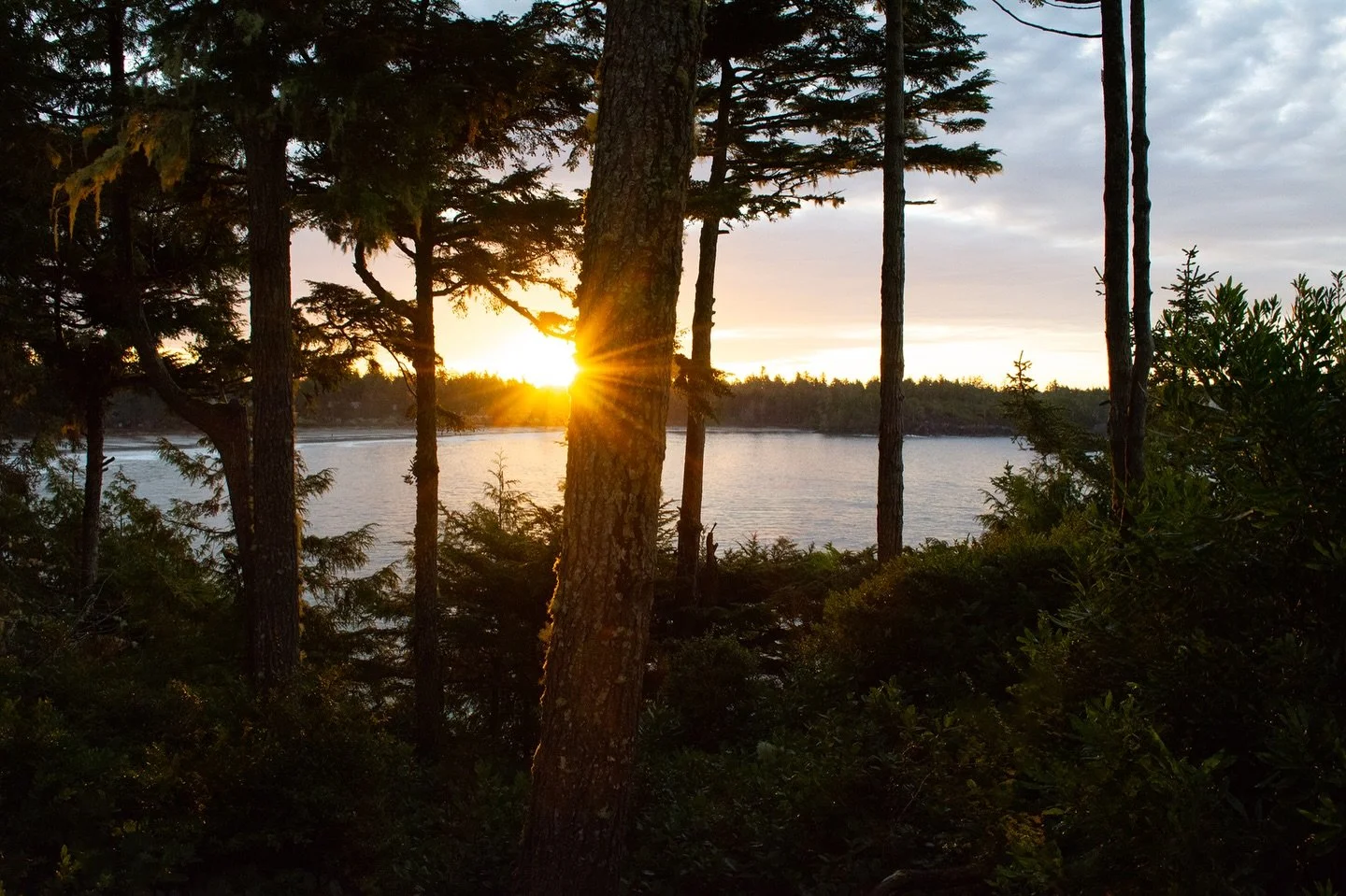 Sunrise overlooking Middle Beach 🌅